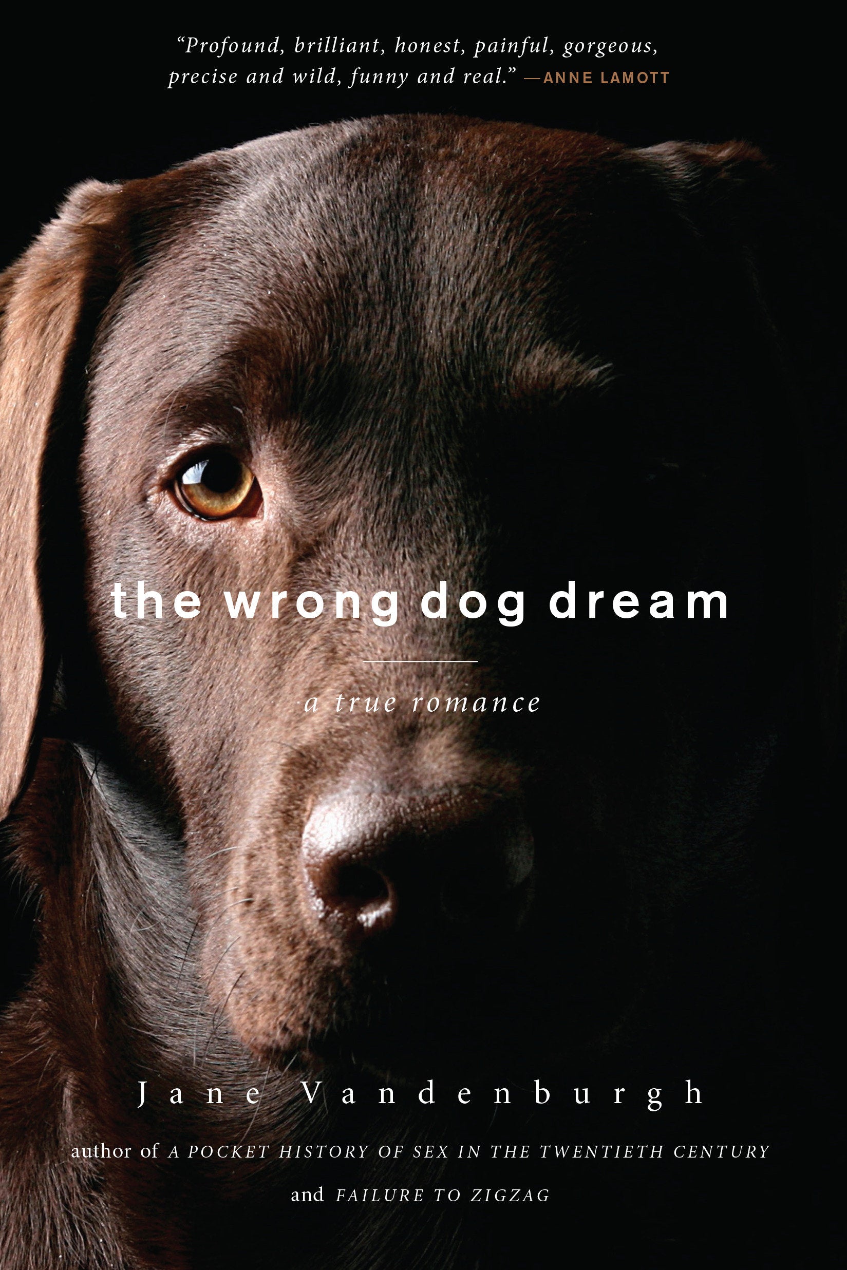 The Wrong Dog Dream - A True Romance