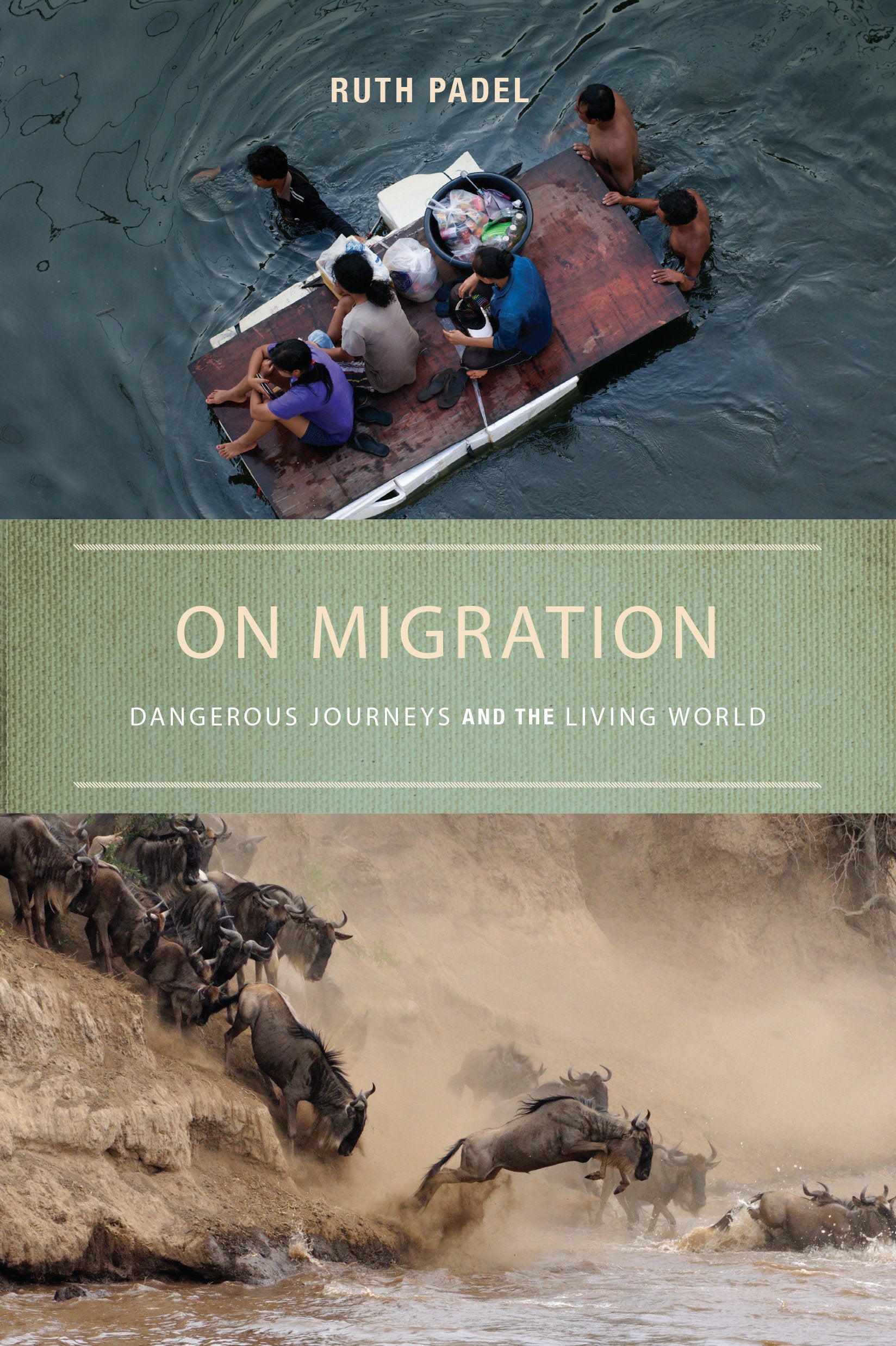 On Migration - Dangerous Journeys and the Living World