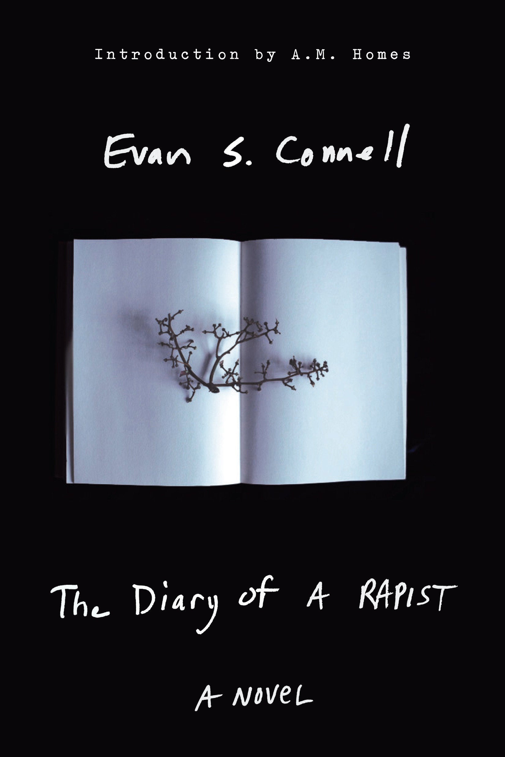 The Diary of a Rapist - A Novel