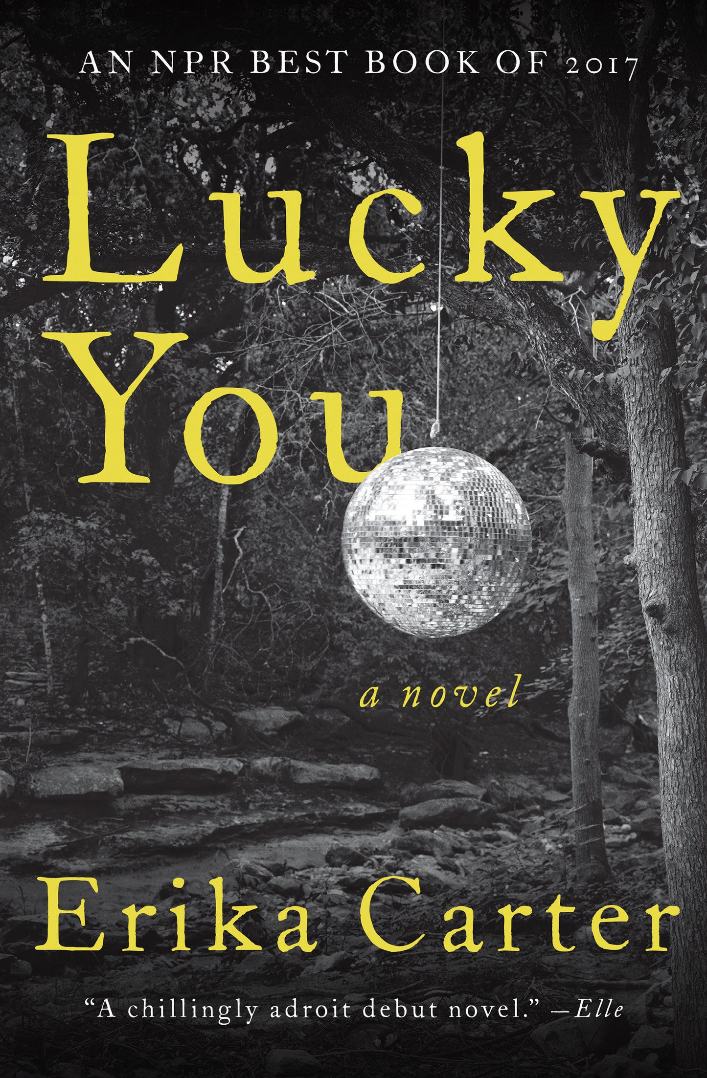Lucky You - A Novel