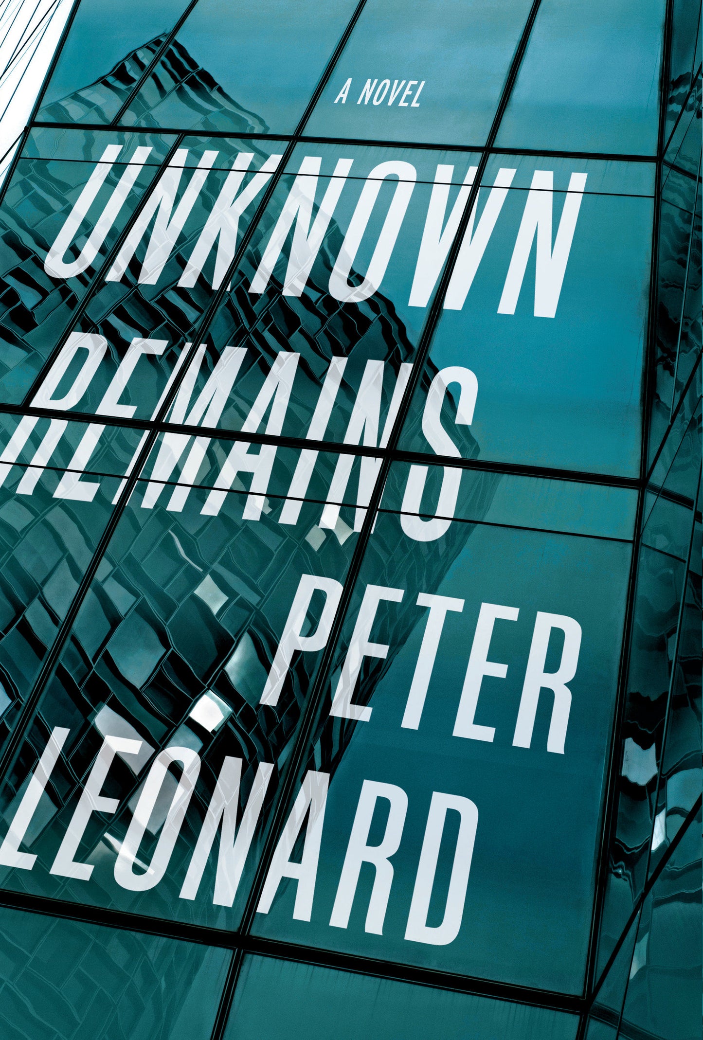 Unknown Remains - A Novel