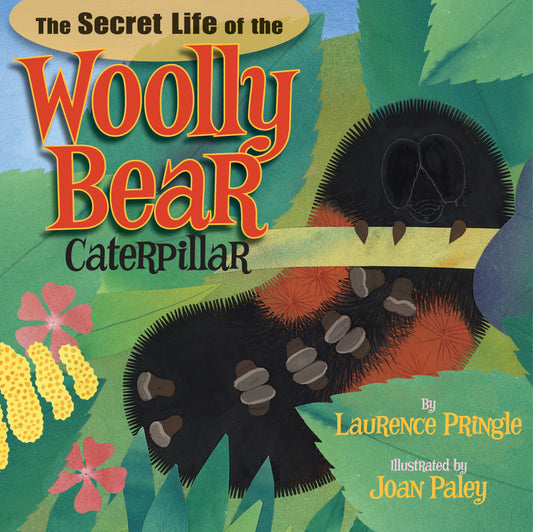 The Secret Life of the Woolly Bear Caterpillar (The Secret Life)