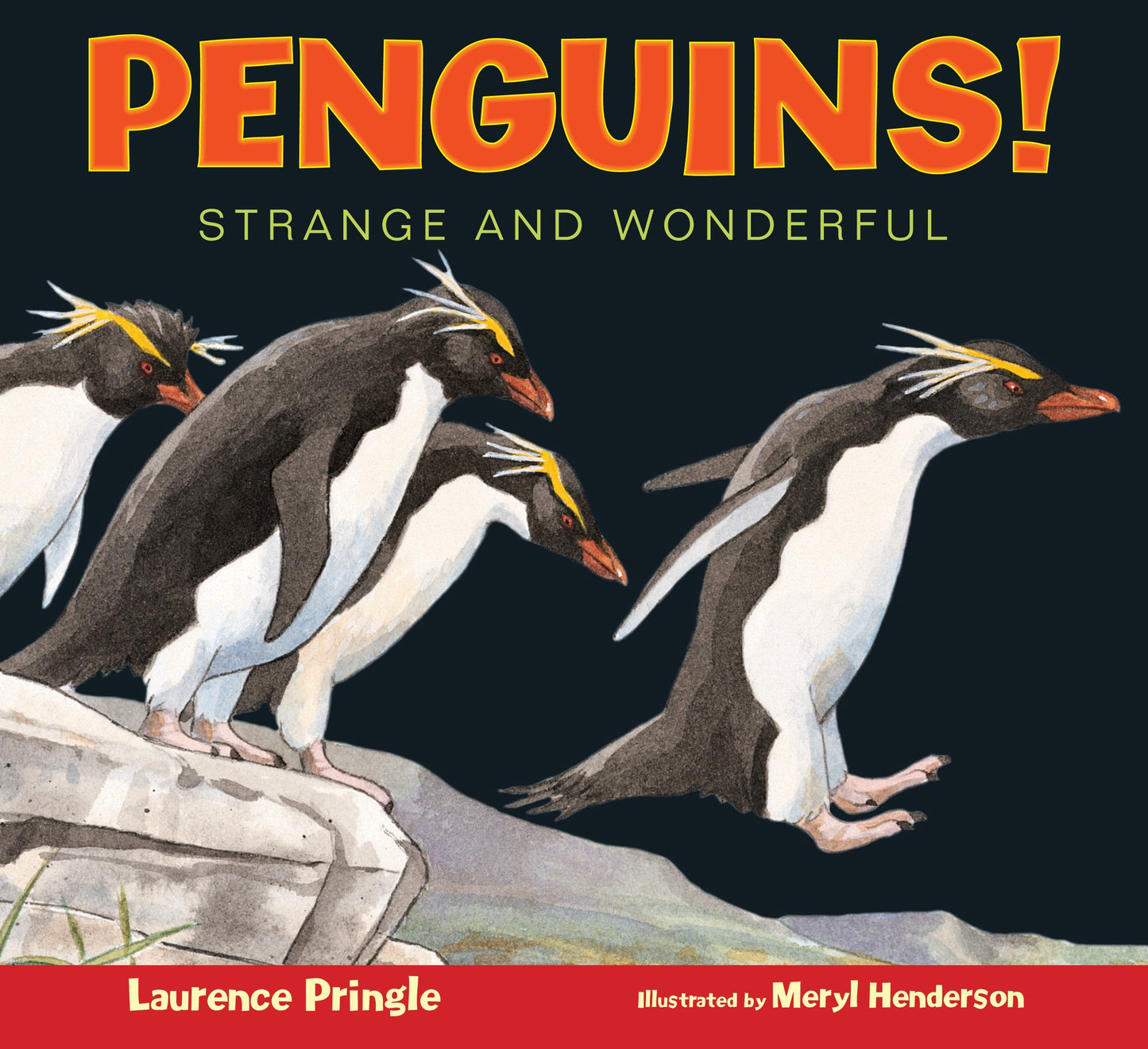 Penguins! - Strange and Wonderful (Strange and Wonderful)
