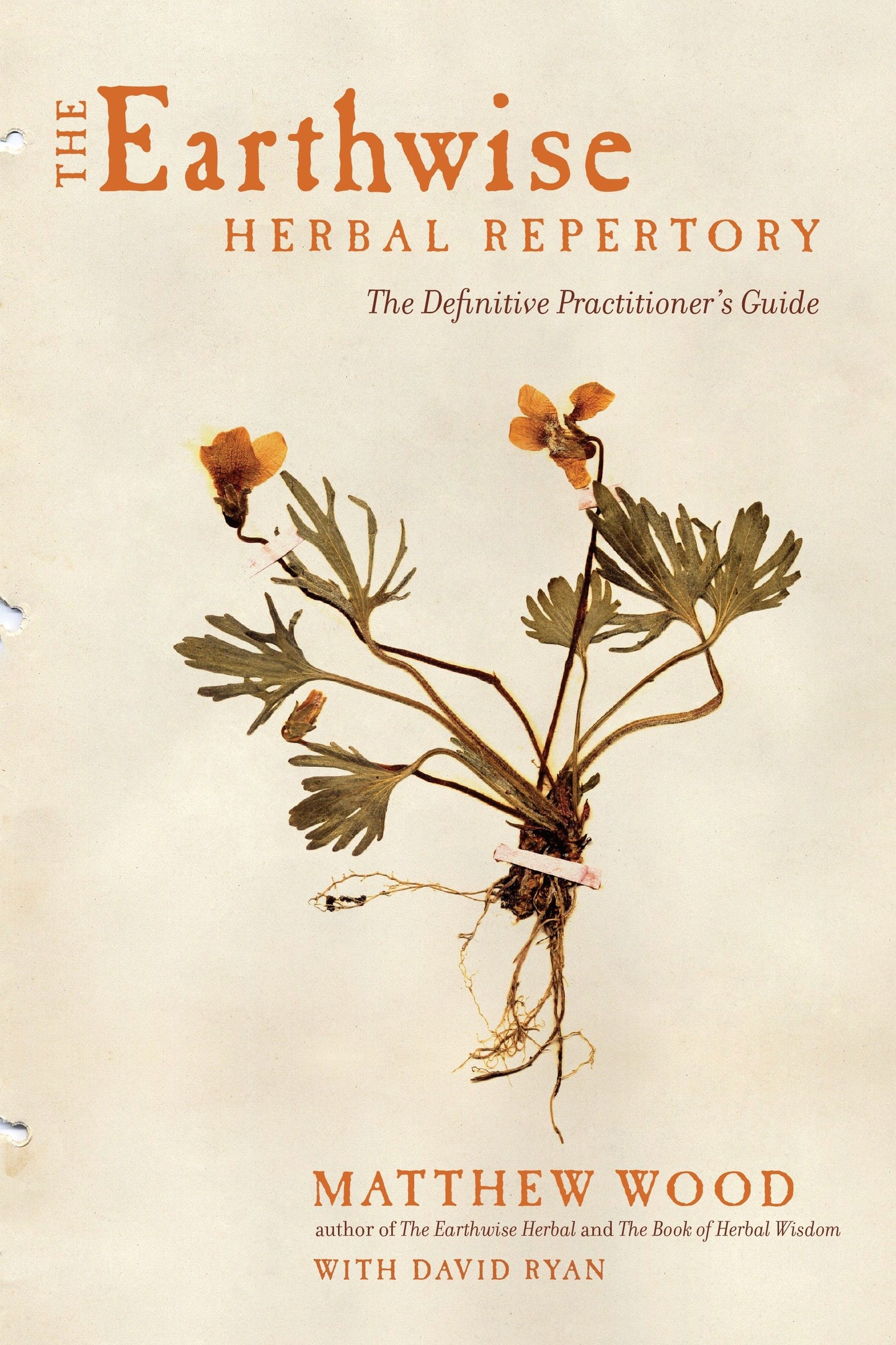 The Earthwise Herbal Repertory - The Definitive Practitioner's Guide