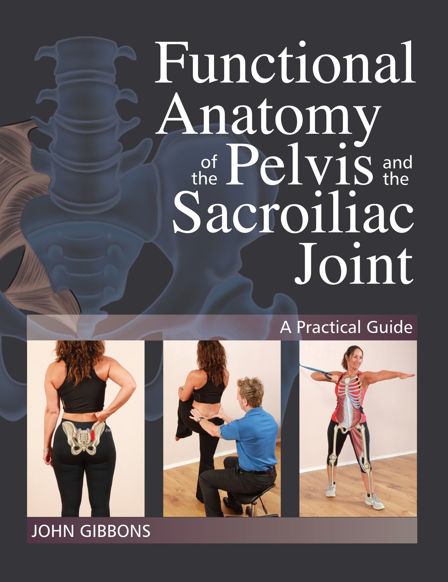 Functional Anatomy of the Pelvis and the Sacroiliac Joint - A Practical Guide