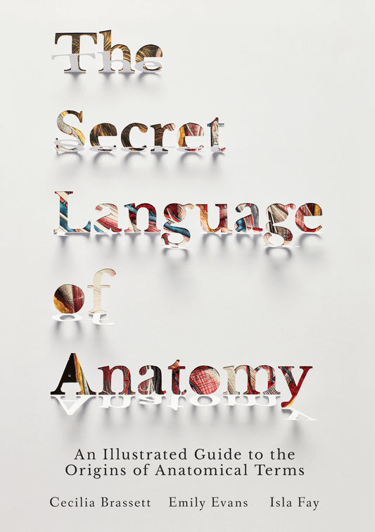 The Secret Language of Anatomy - An Illustrated Guide to the Origins of Anatomical Terms