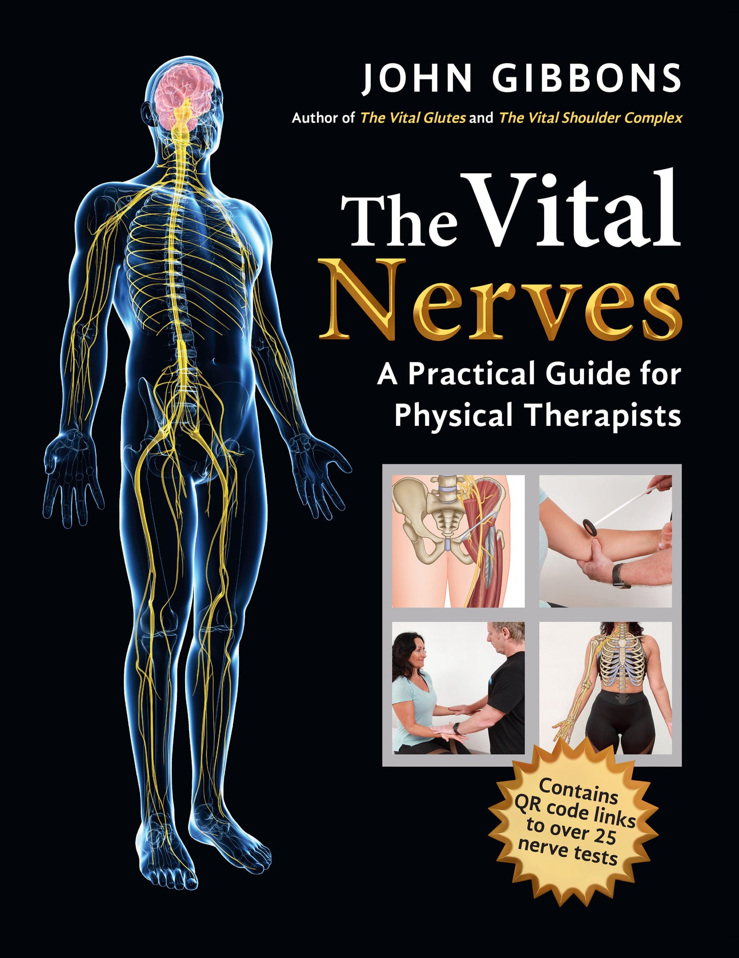 The Vital Nerves - A Practical Guide for Physical Therapists
