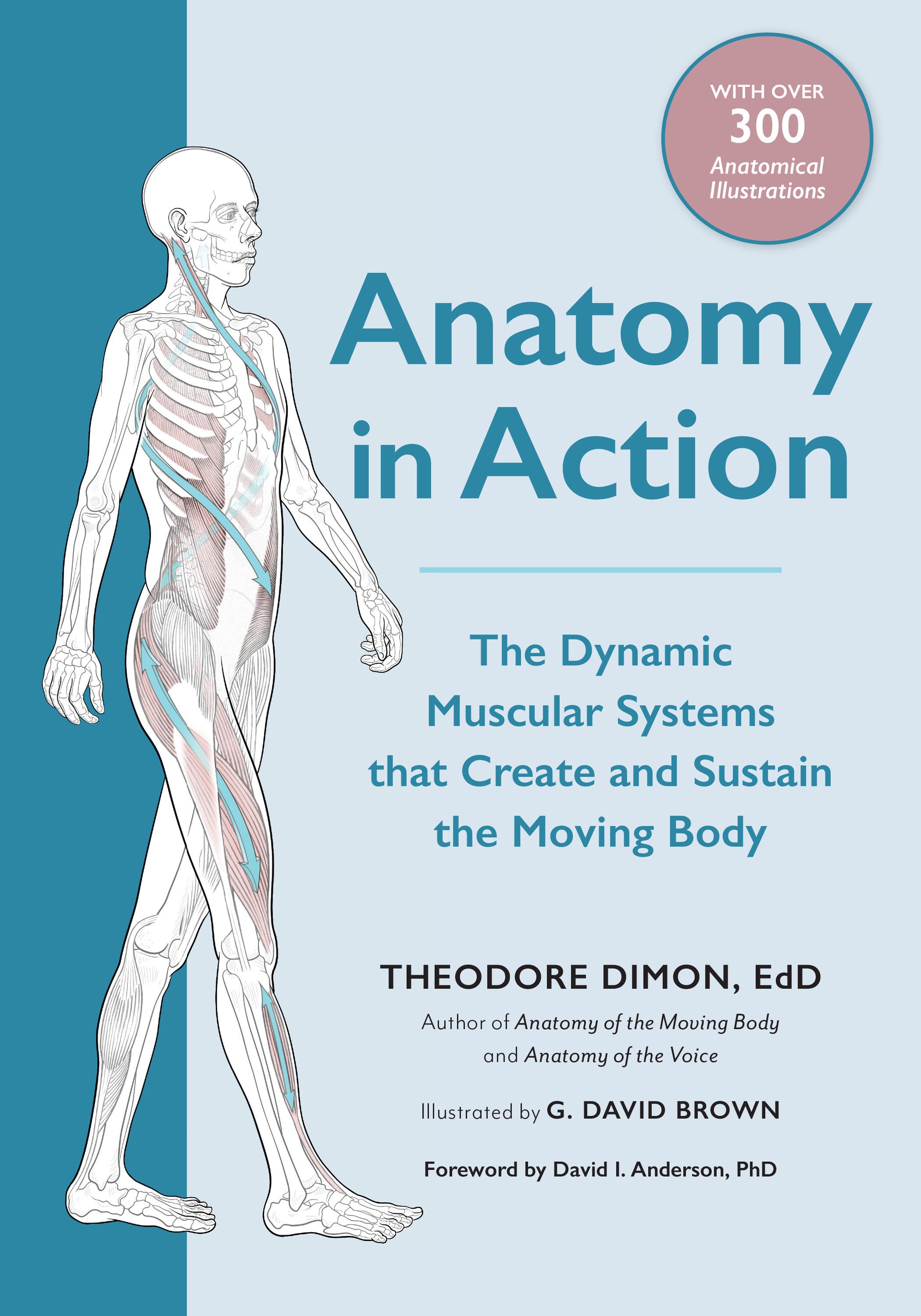Anatomy in Action - The Dynamic Muscular Systems that Create and Sustain the Moving Body