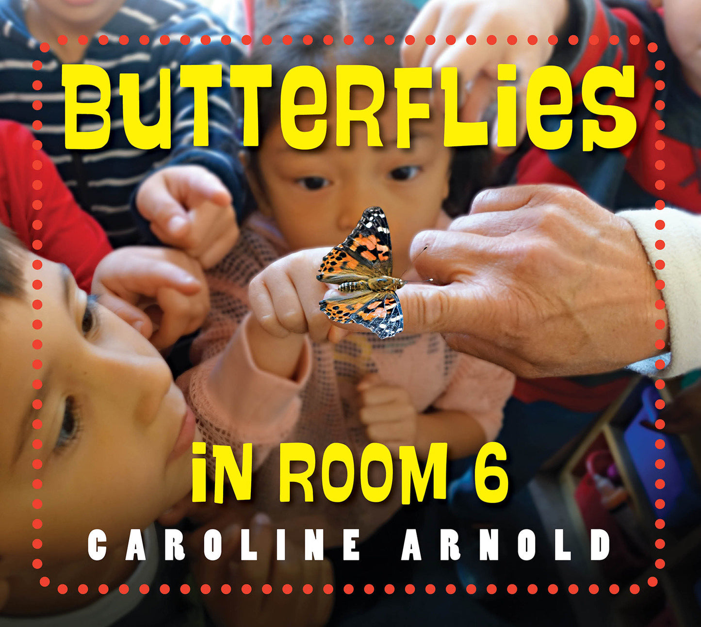 Butterflies in Room 6 - See How They Grow (Life Cycles in Room 6)