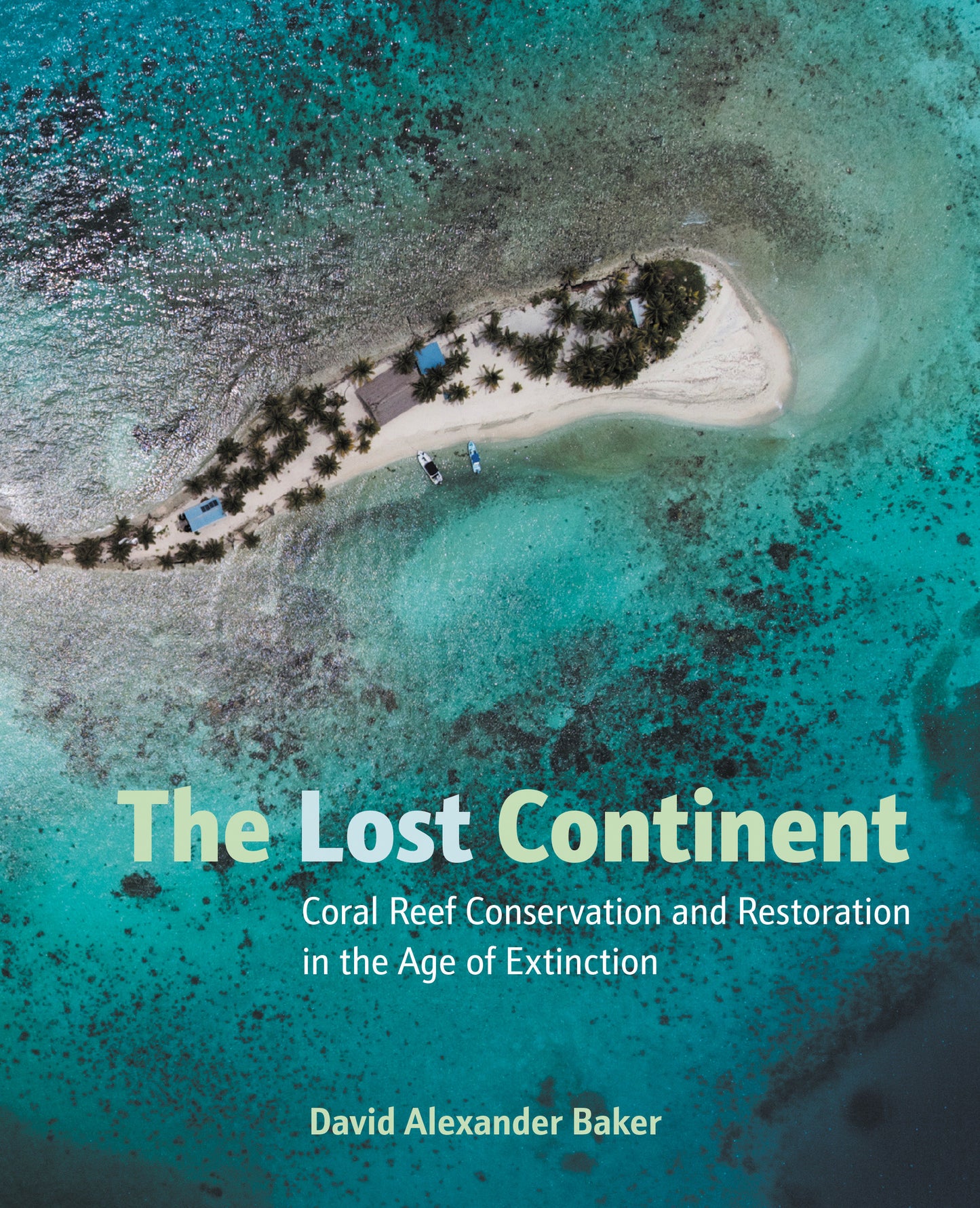 The Lost Continent - Coral Reef Conservation and Restoration in the Age of Extinction