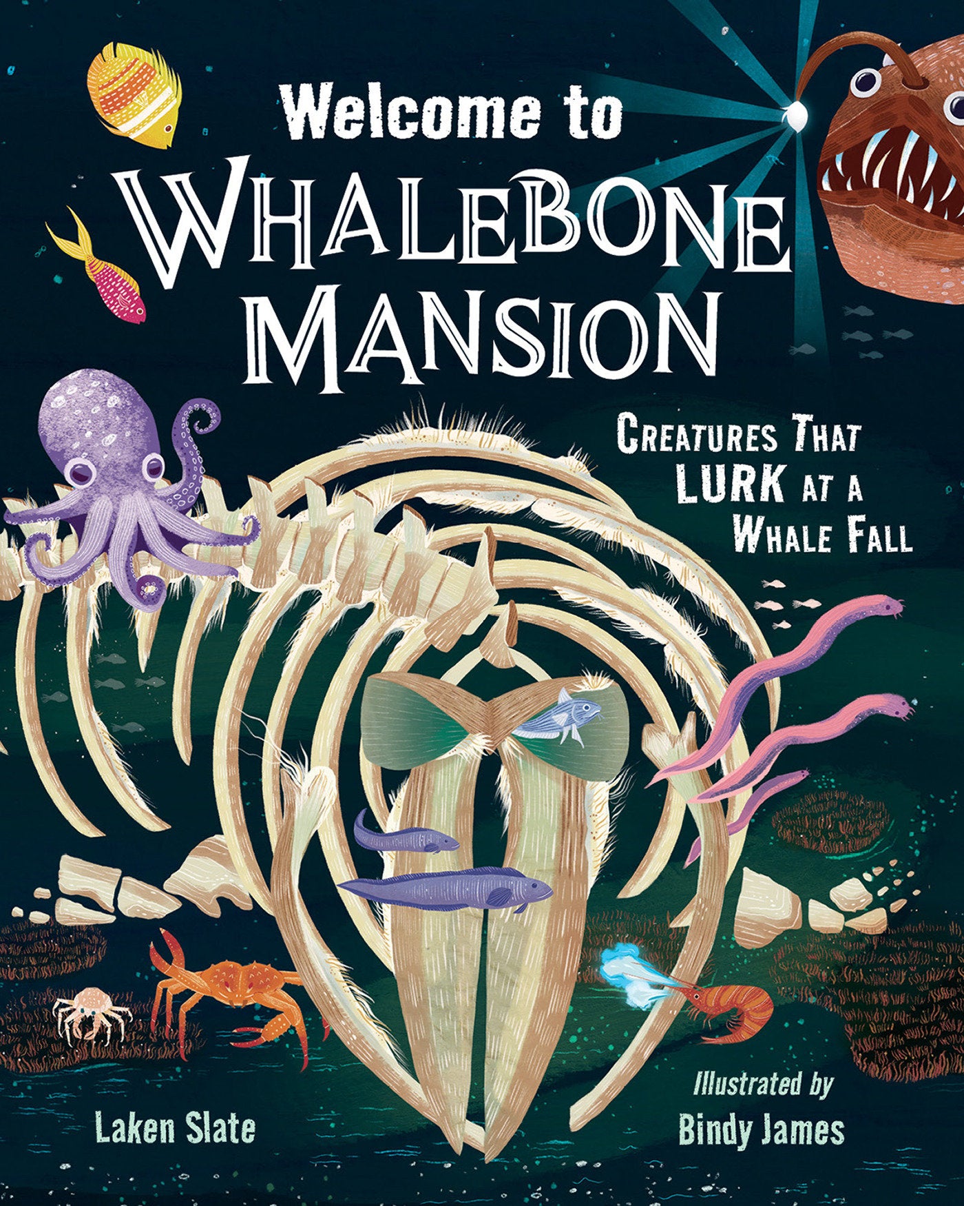 Welcome to Whalebone Mansion - Creatures That Lurk at a Whale Fall