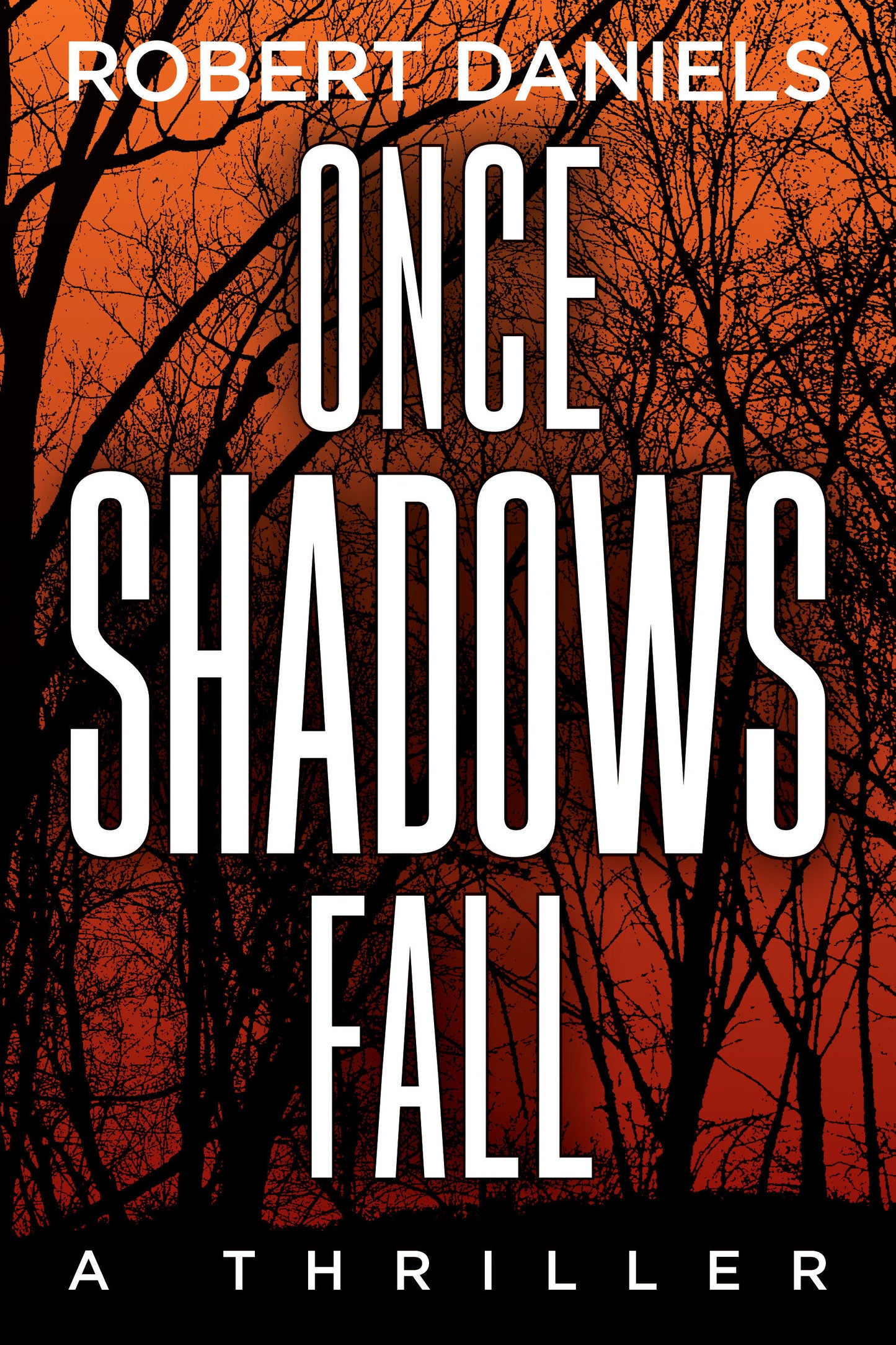 Once Shadows Fall - A Jack Kale and Beth Sturgis Mystery (A Jack Kale and Beth Sturgis Mystery) (Book:1)