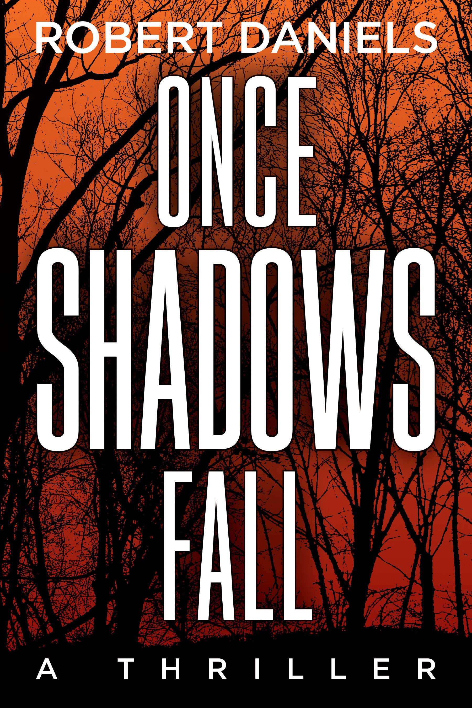 Once Shadows Fall - A Jack Kale and Beth Sturgis Mystery (A Jack Kale and Beth Sturgis Mystery) (Book:1)