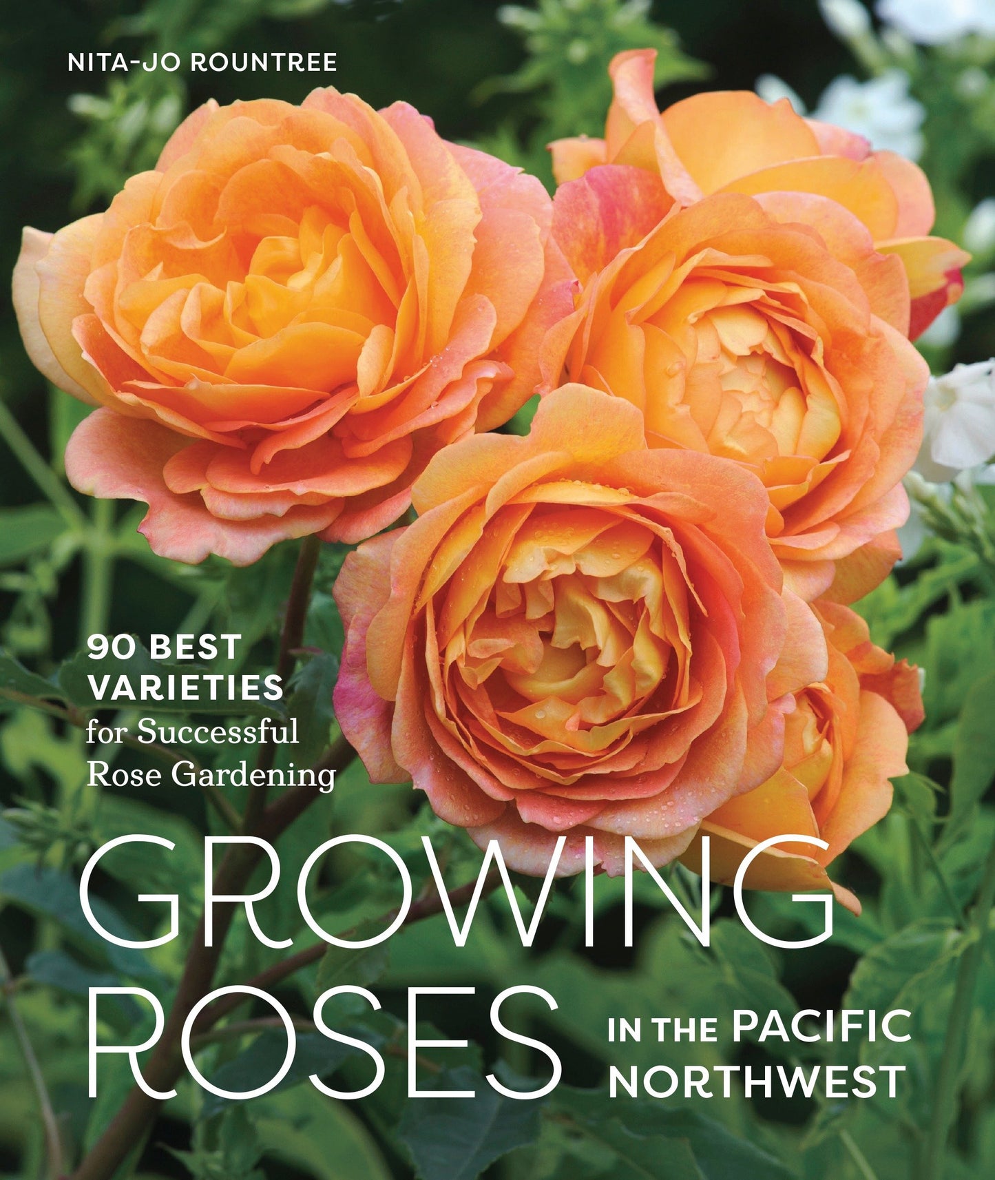 Growing Roses in the Pacific Northwest - 90 Best Varieties for Successful Rose Gardening