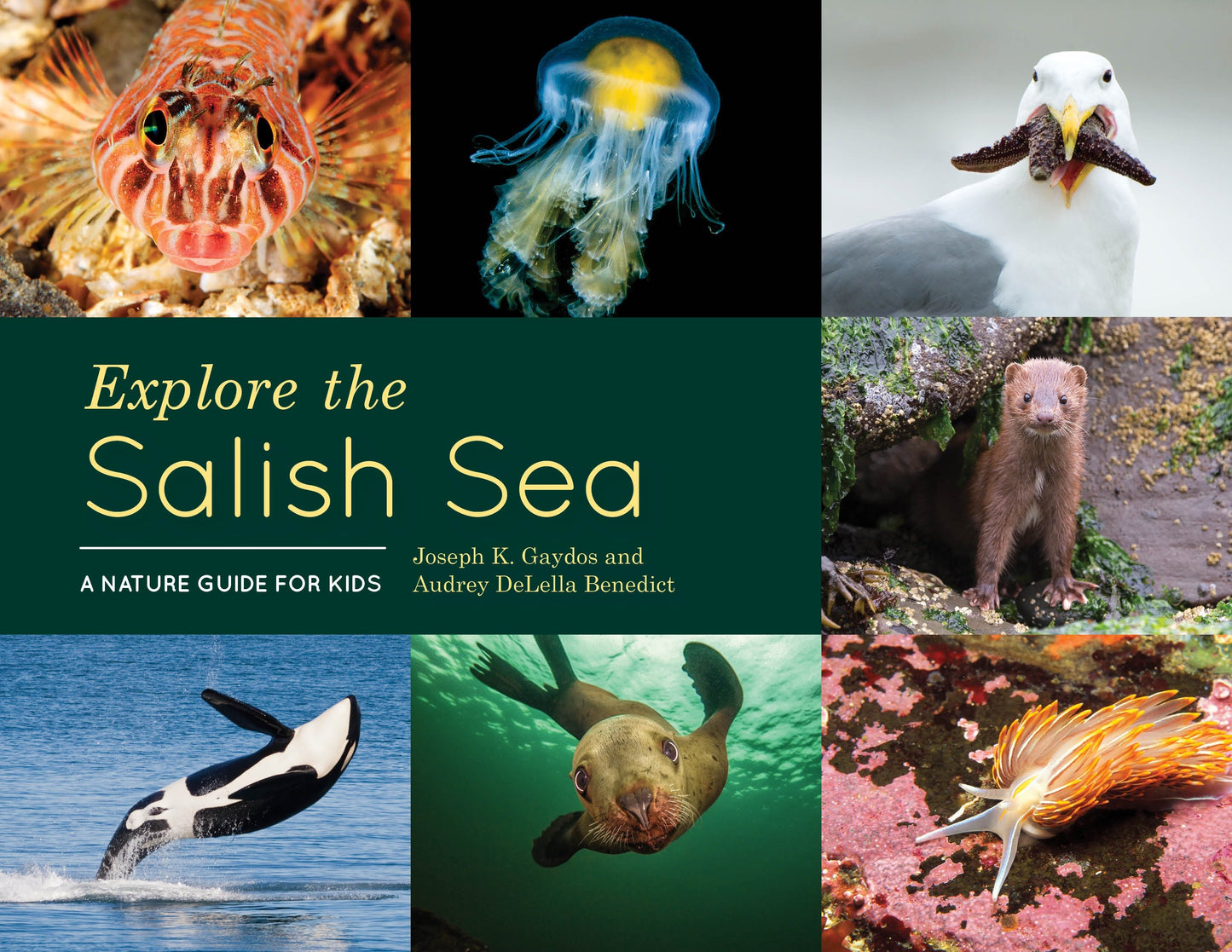 Explore the Salish Sea - A Nature Guide for Kids