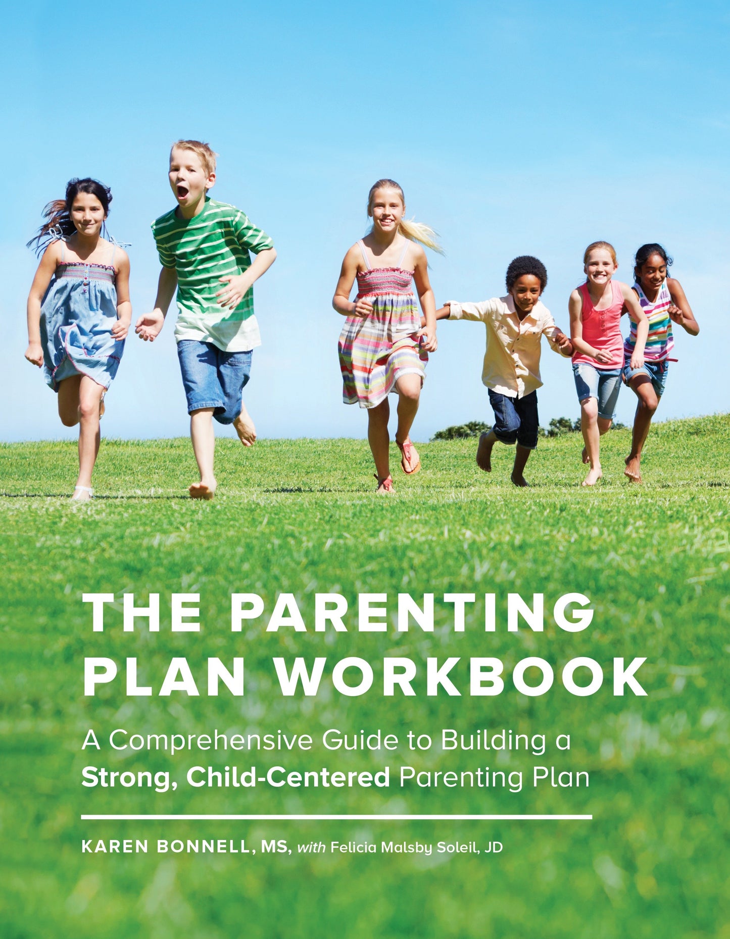 The Parenting Plan Workbook - A Comprehensive Guide to Building a Strong, Child-Centered Parenting Plan