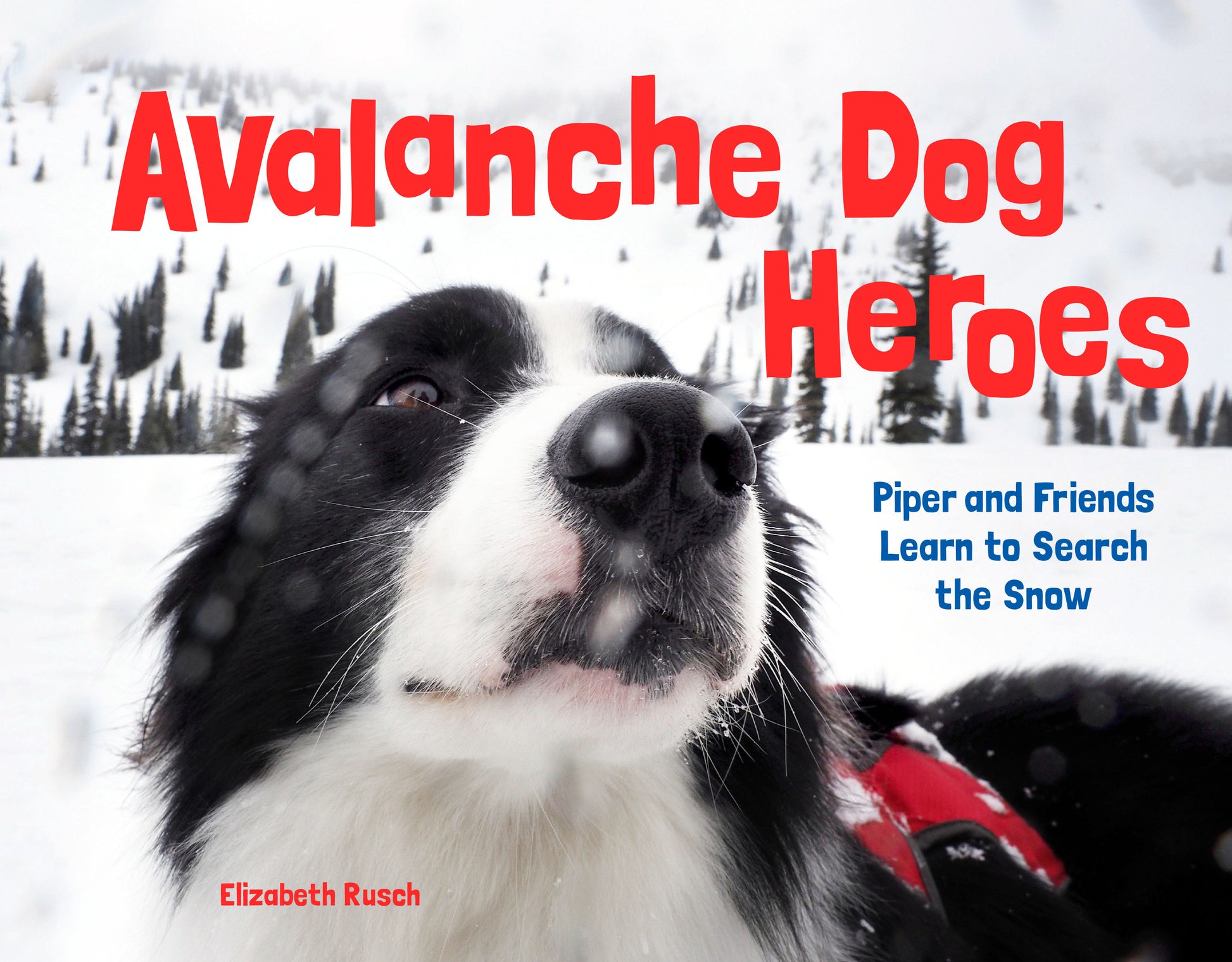 Avalanche Dog Heroes - Piper and Friends Learn to Search the Snow
