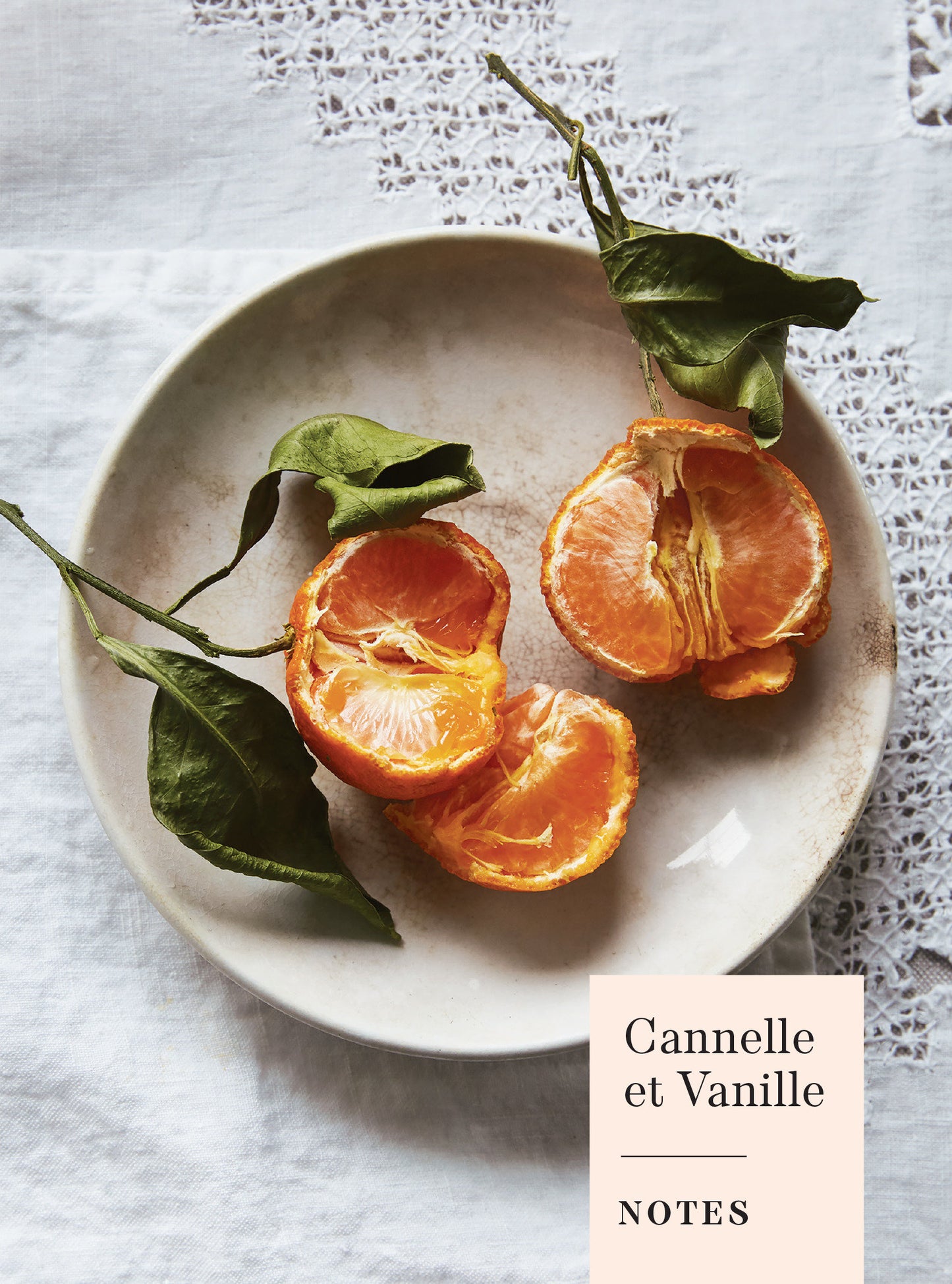 Cannelle et Vanille Notes (Journal) - A Recipe Journal (Holiday Gifts for Cooks) (Cannelle et Vanille)