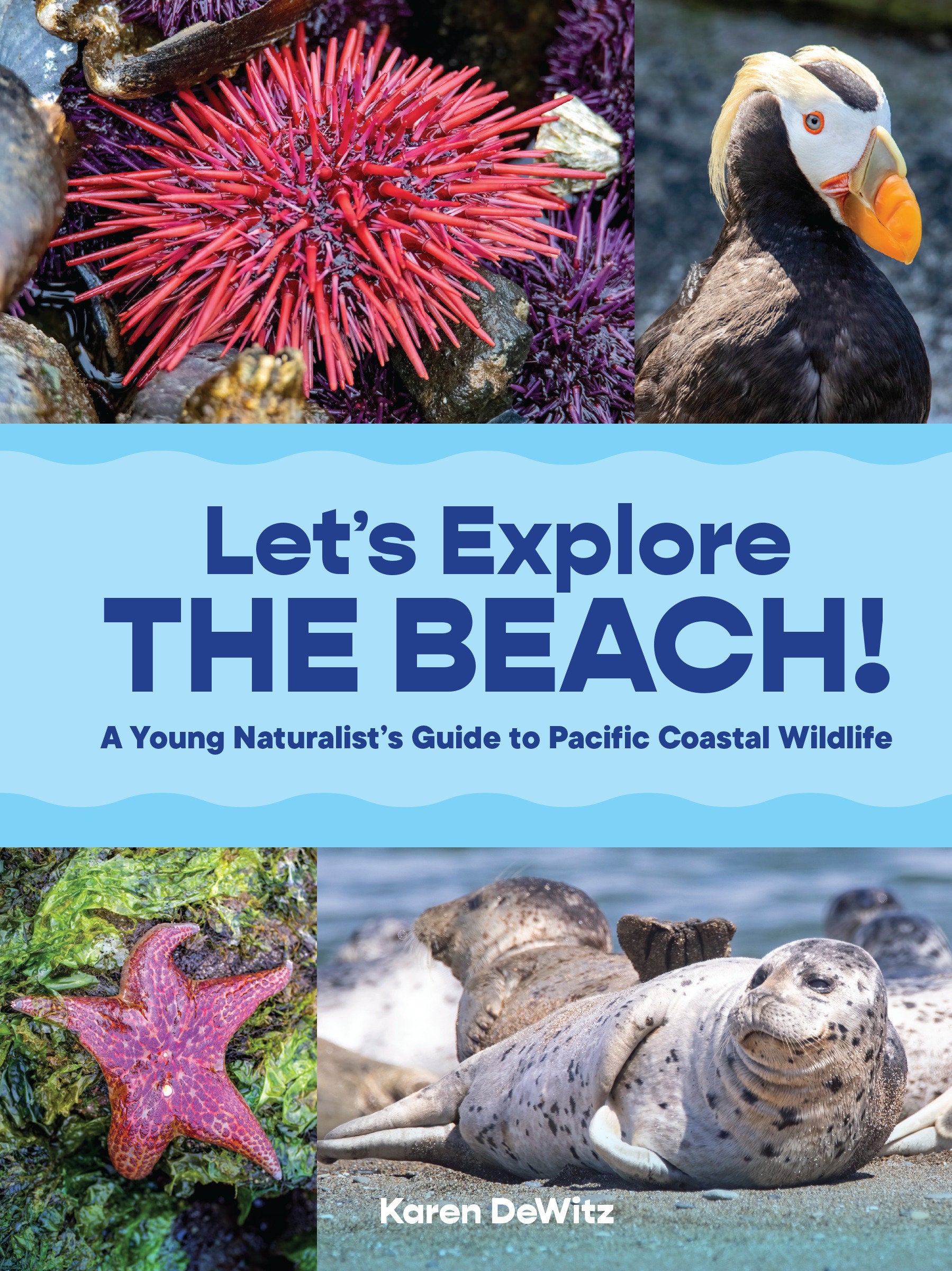 Let�s Explore the Beach! - A Young Naturalist�s Guide to Pacific Coastal Wildlife