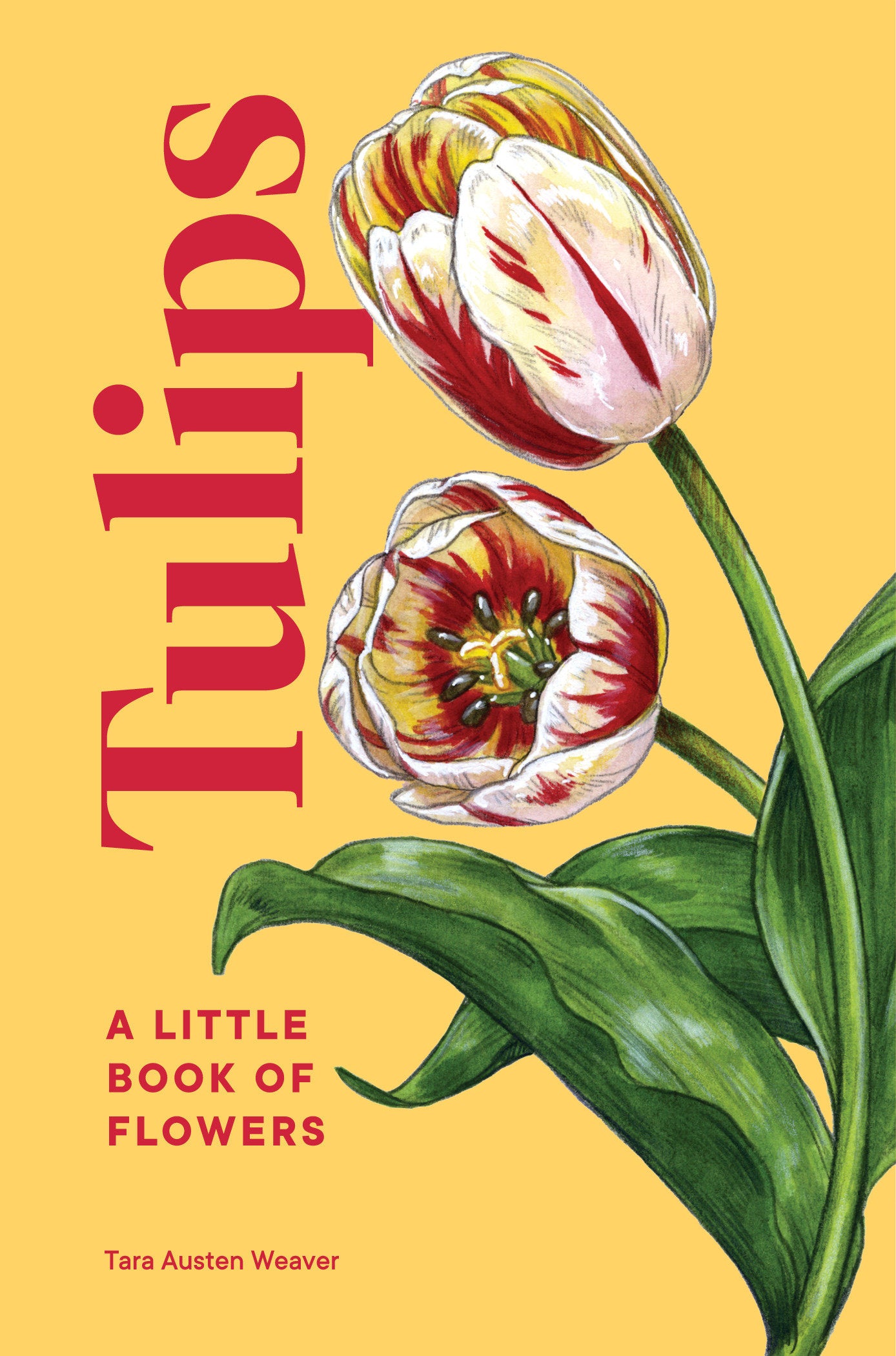Tulips - A Little Book of Flowers (Little Book of Natural Wonders)