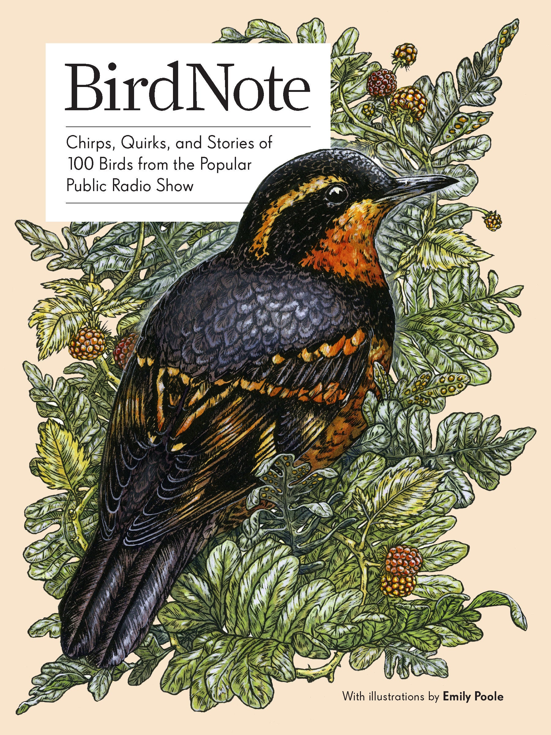 BirdNote - 100 Illustrated Bird Stories to Inspire Your Bird Watching
