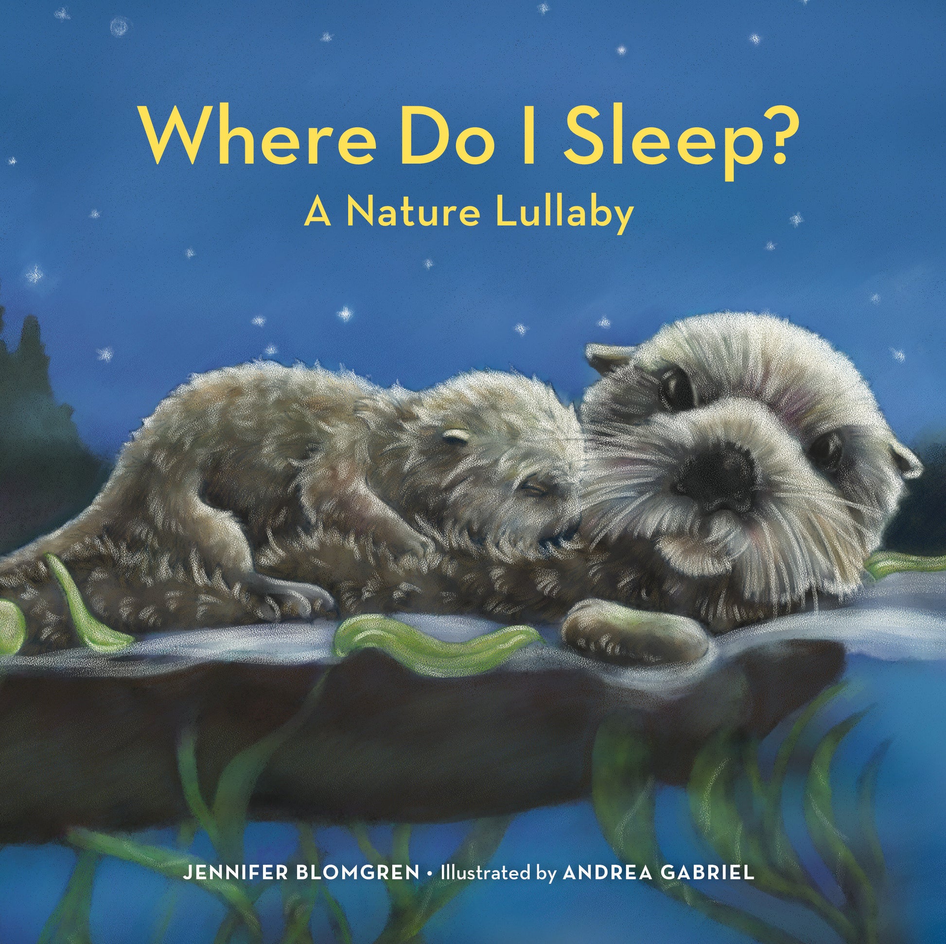 Where Do I Sleep? - A Nature Lullaby