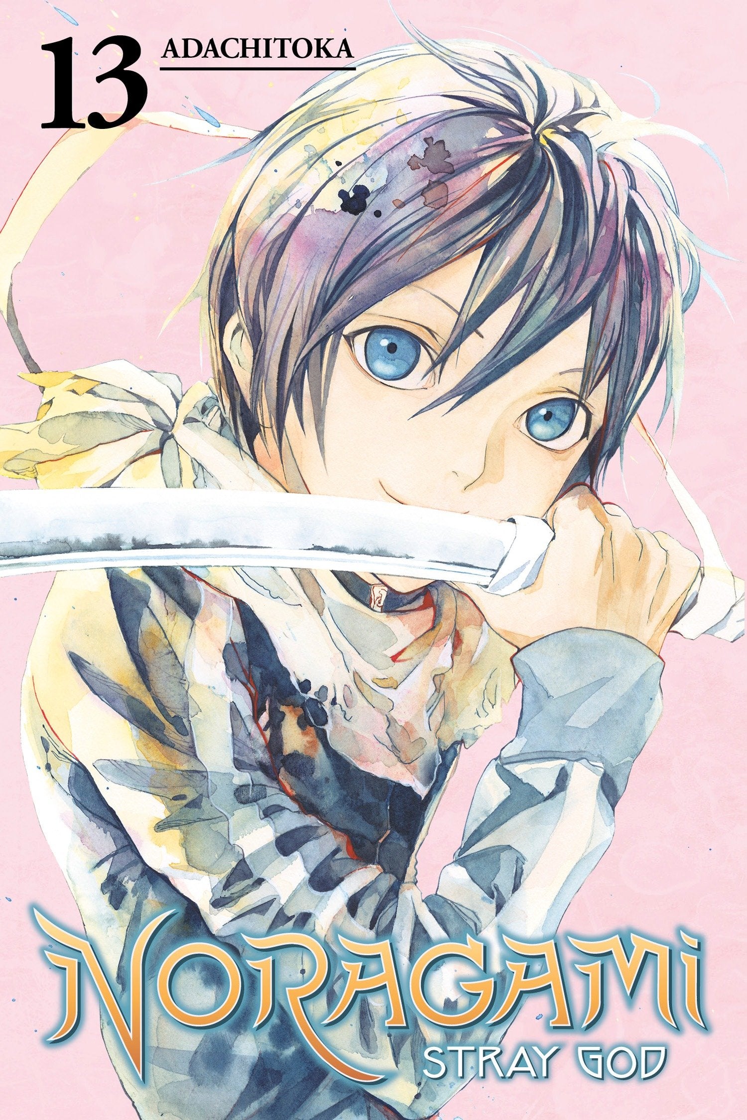 Noragami: Stray God 13 (Noragami: Stray God) (Book:13)