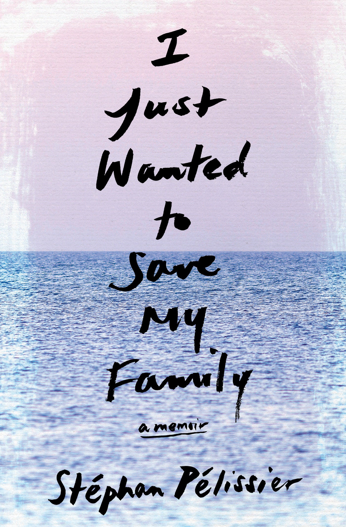 I Just Wanted to Save My Family - A Memoir
