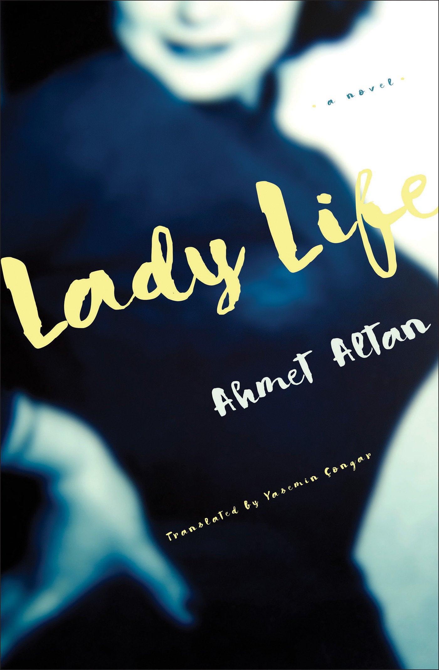Lady Life - A Novel