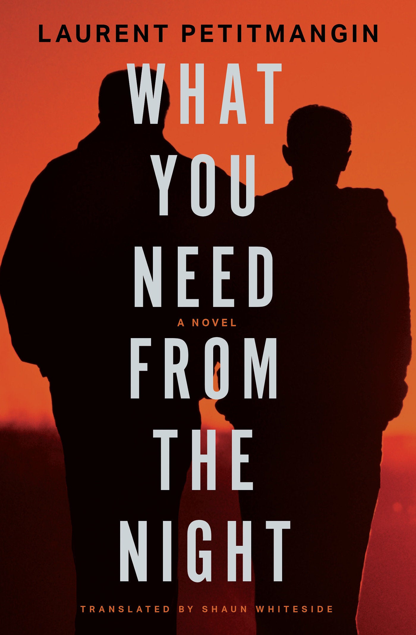 What You Need from the Night - A Novel