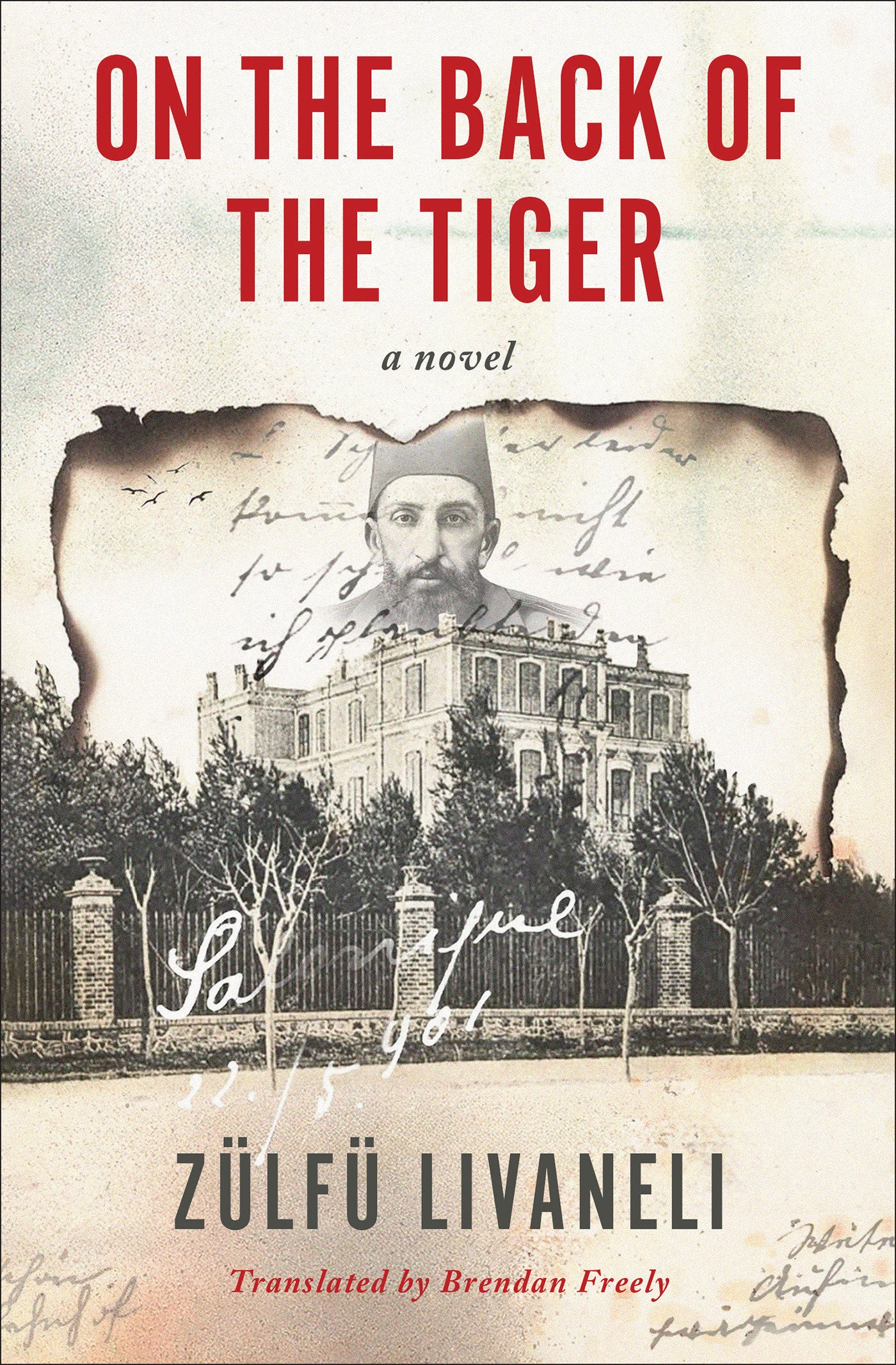 On the Back of the Tiger - A Novel