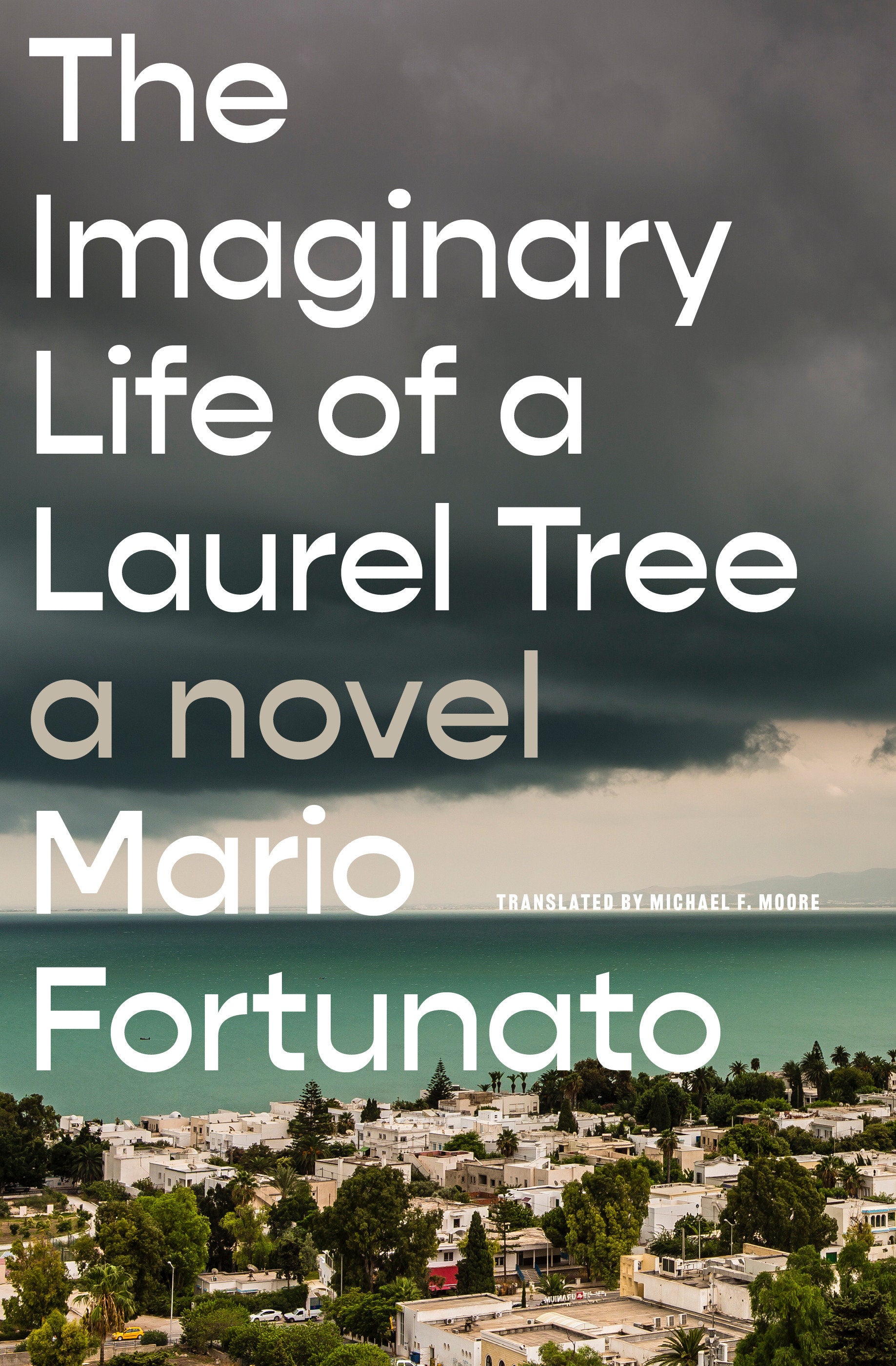 The Imaginary Life of a Laurel Tree - A Novel