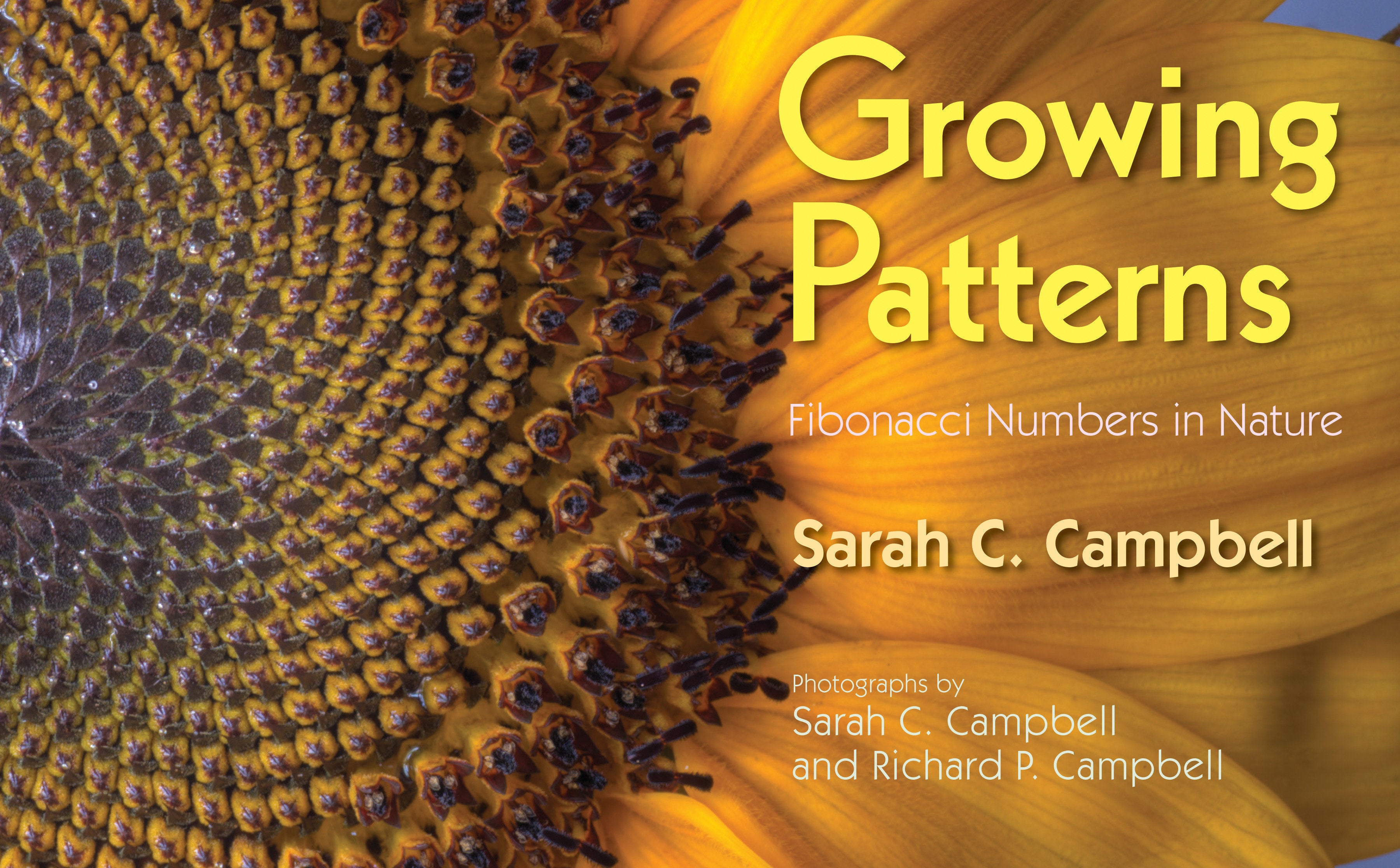 Growing Patterns - Fibonacci Numbers in Nature – Creative By Sanchez