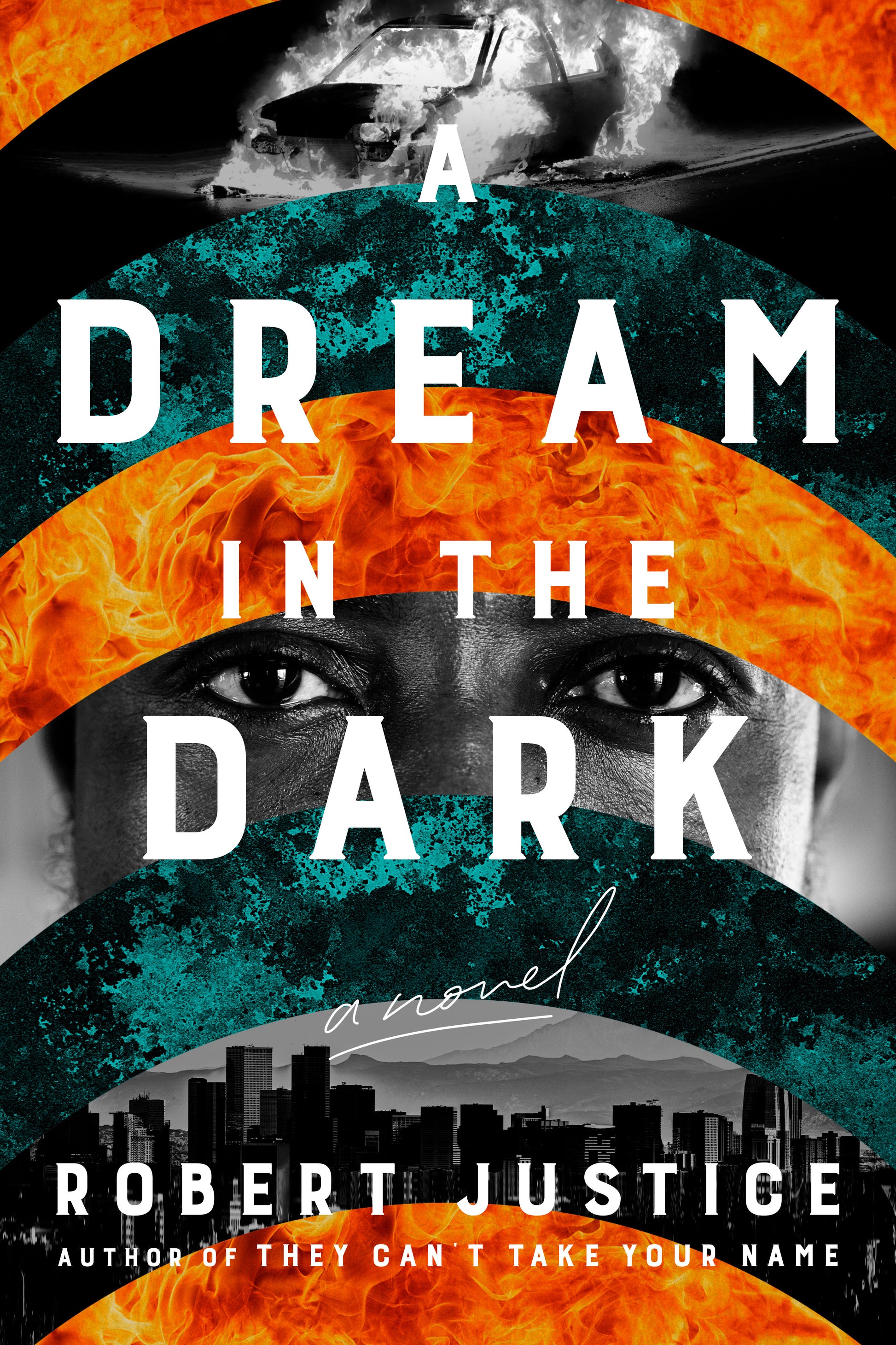 A Dream in the Dark (A Wrongful Conviction Novel) (Book:2)