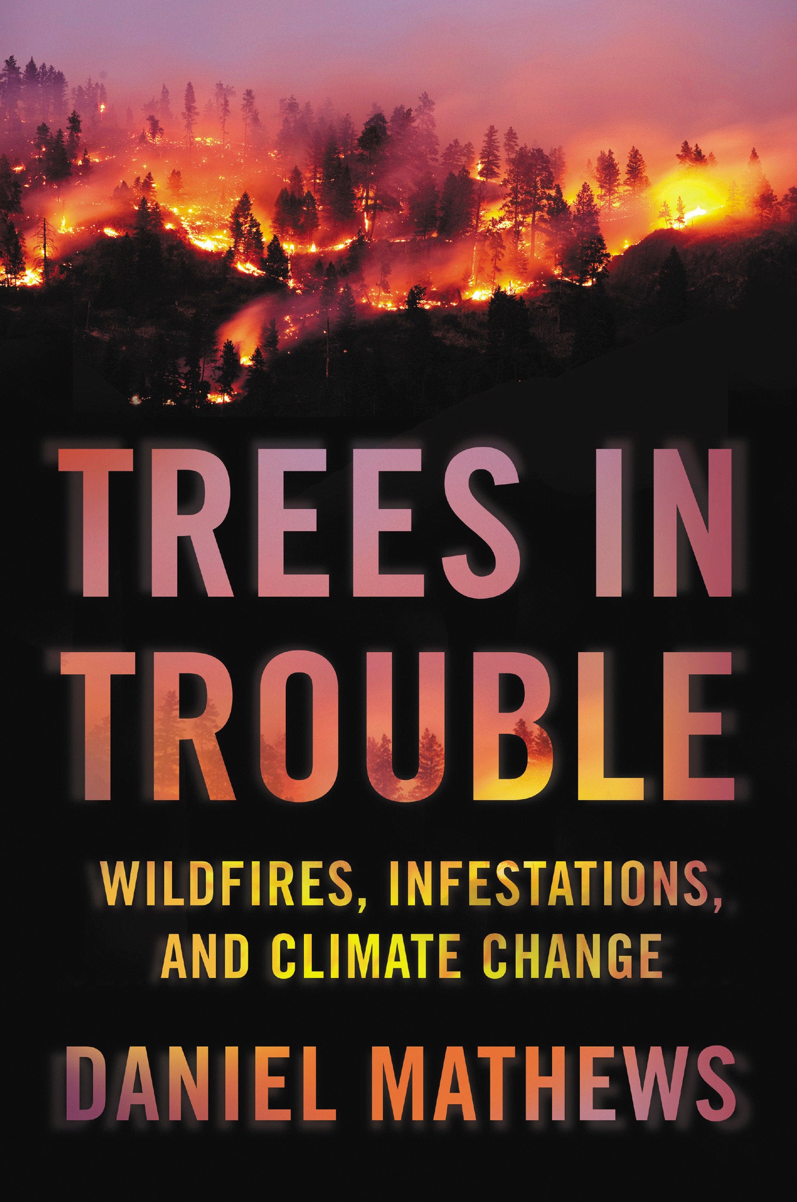 Trees in Trouble - Wildfires, Infestations, and Climate Change