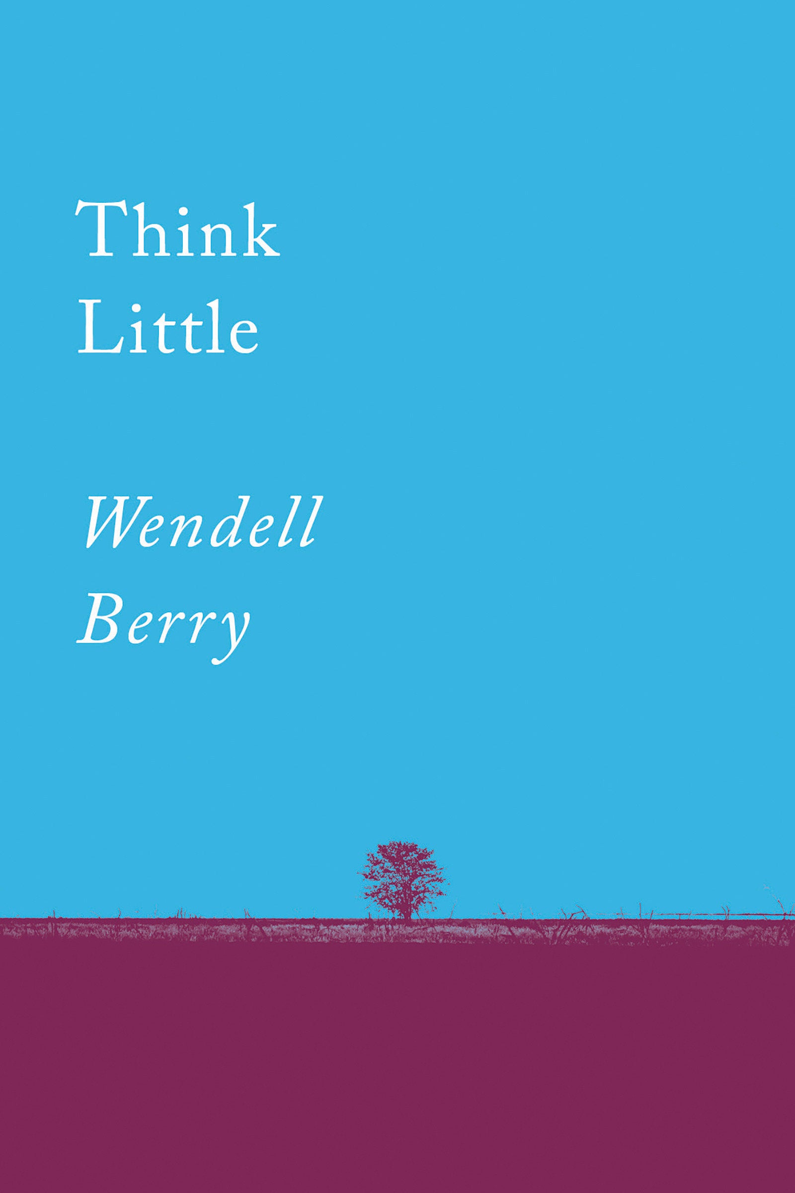 Think Little - Essays (Counterpoints) (Book:1)