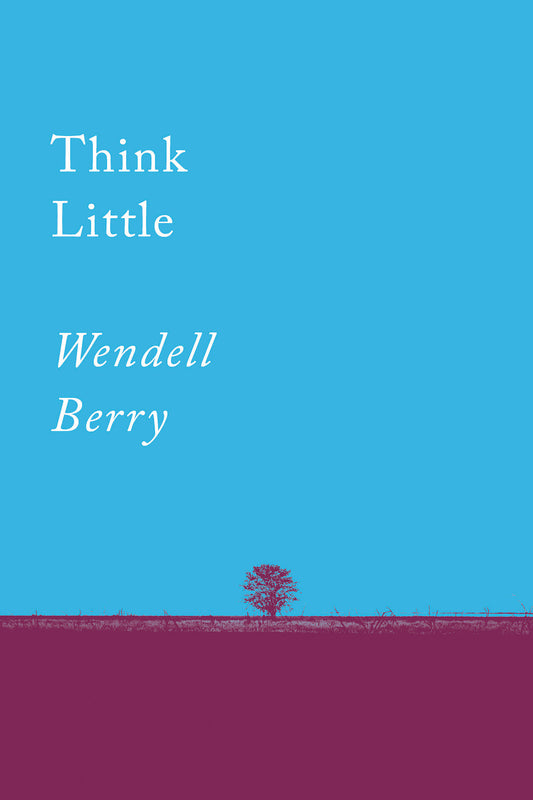 Think Little - Essays (Counterpoints) (Book:1)