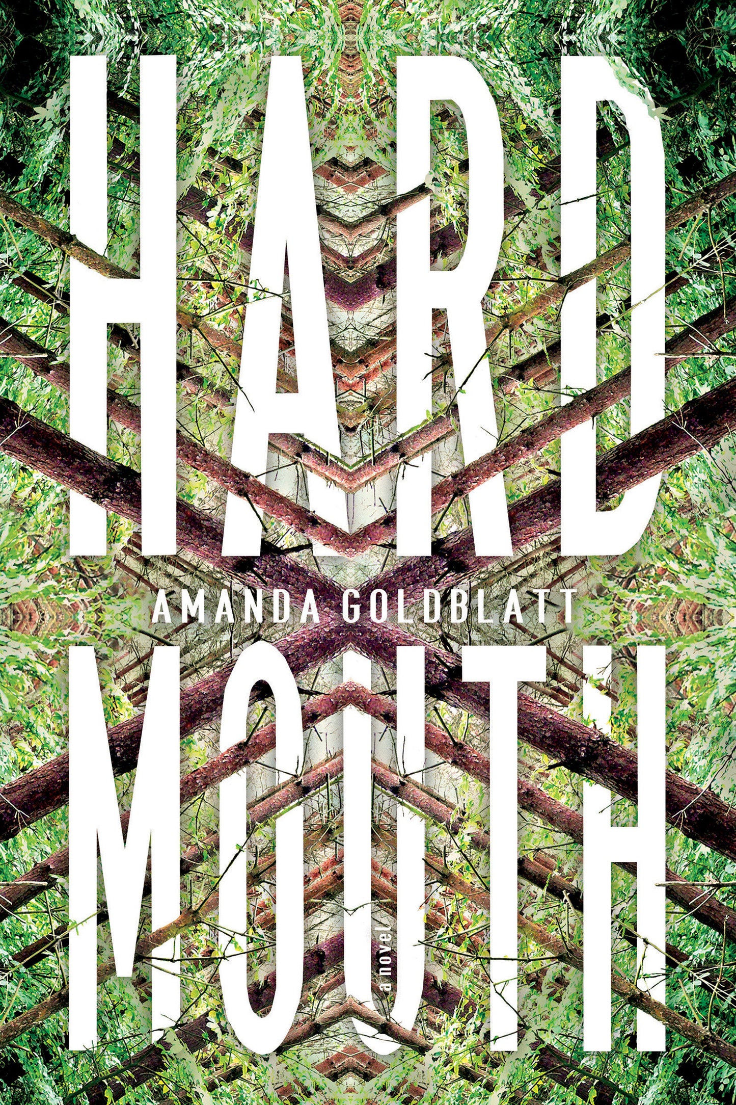 Hard Mouth - A Novel