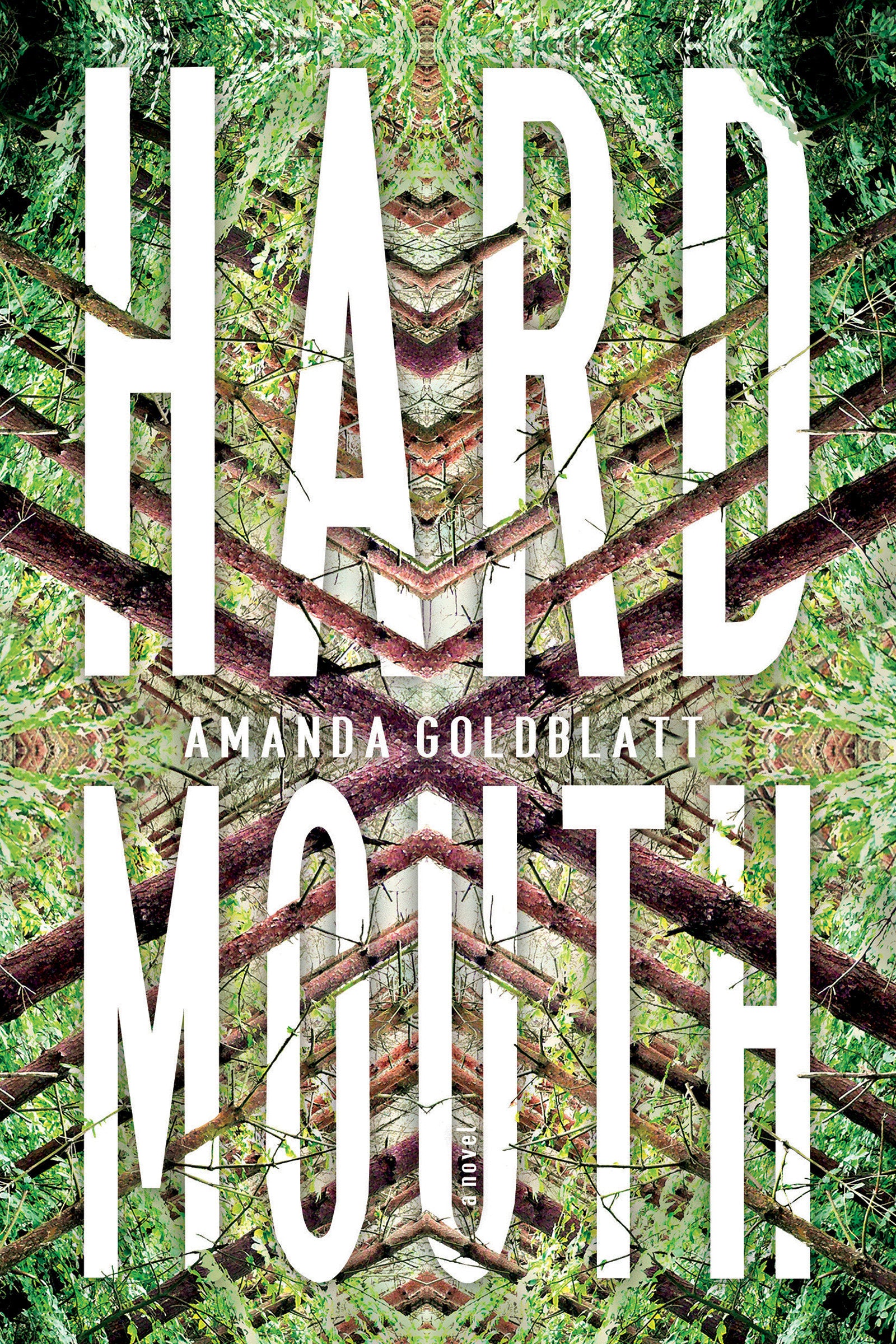 Hard Mouth - A Novel
