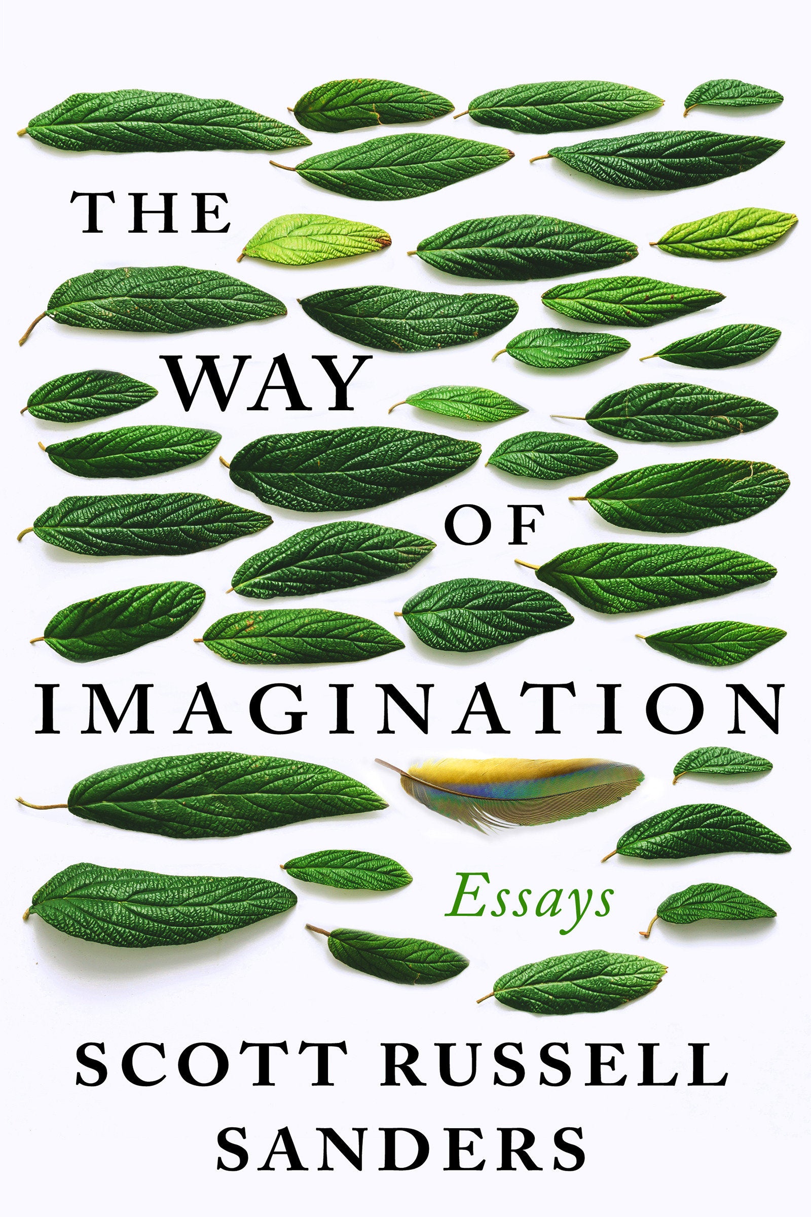 The Way of Imagination - Essays