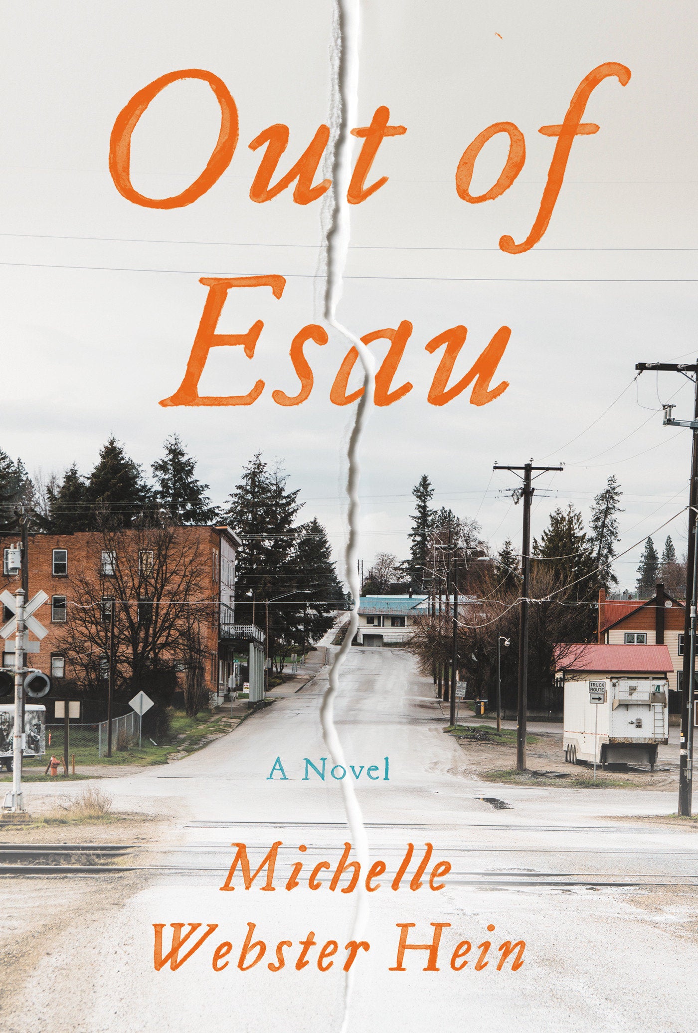 Out of Esau - A Novel