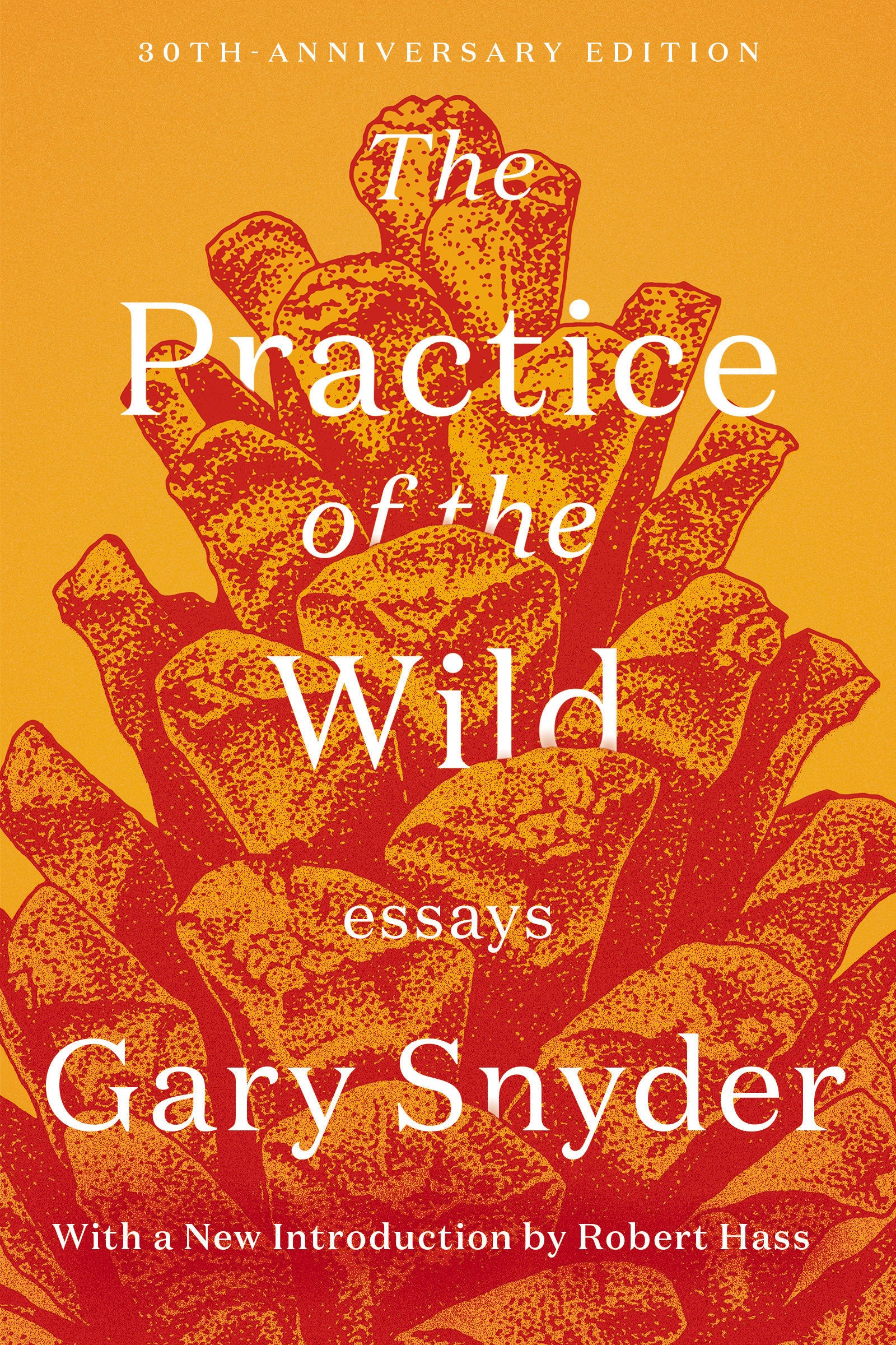 The Practice of the Wild - Essays