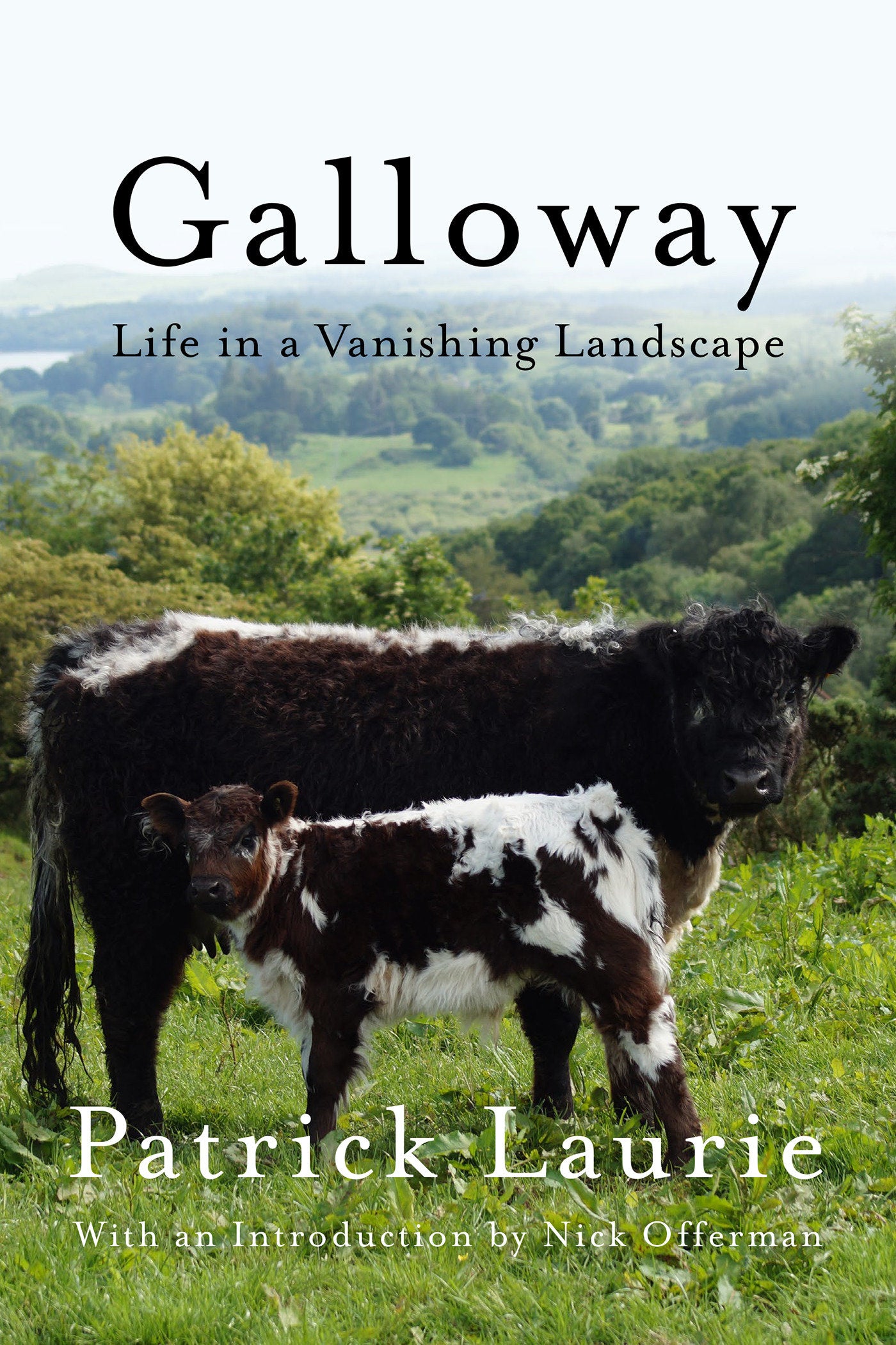 Galloway - Life In a Vanishing Landscape