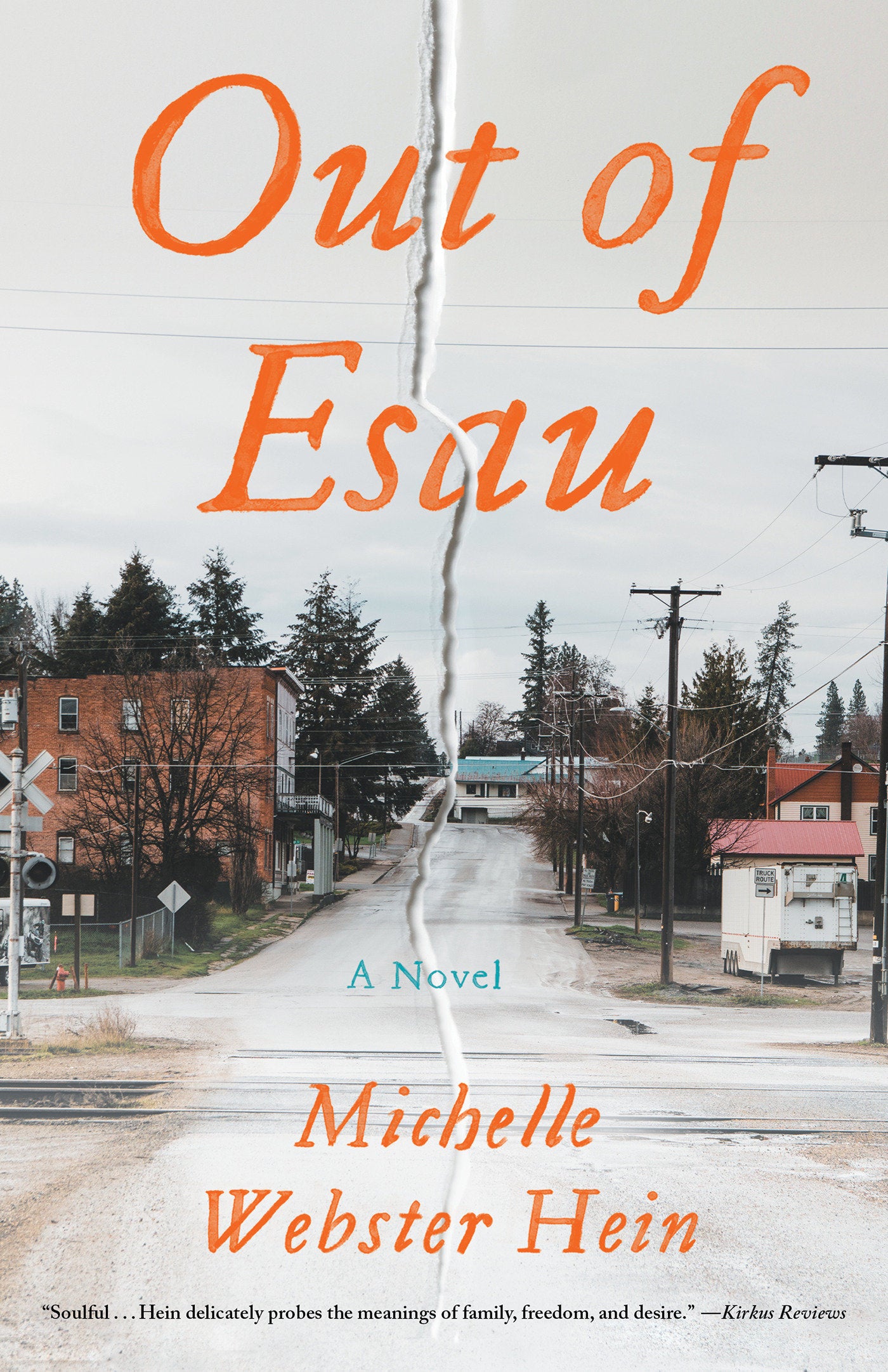 Out of Esau - A Novel