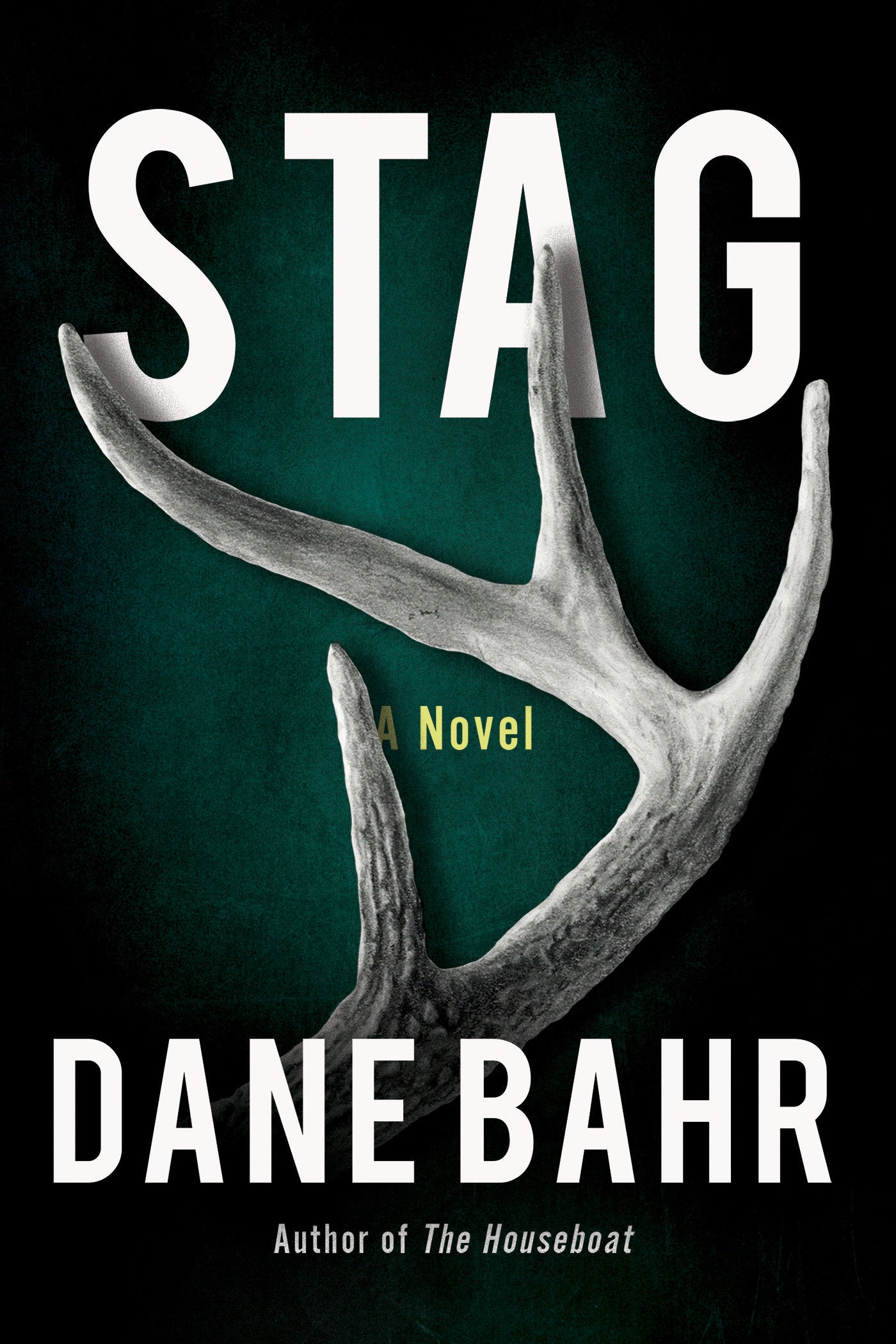Stag - A Novel