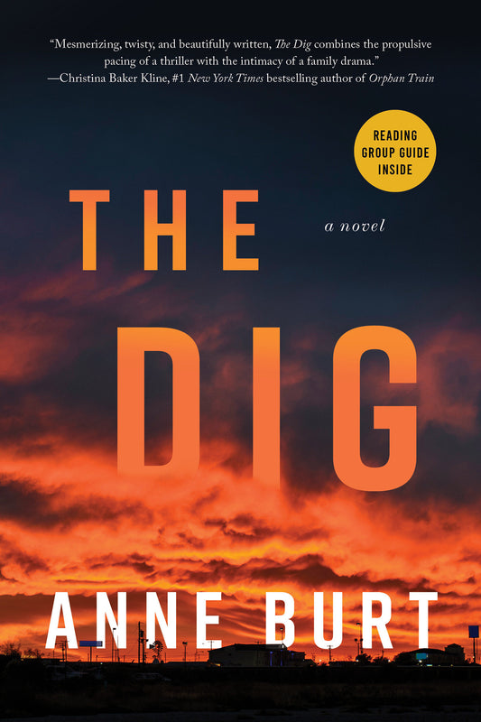 The Dig - A Novel