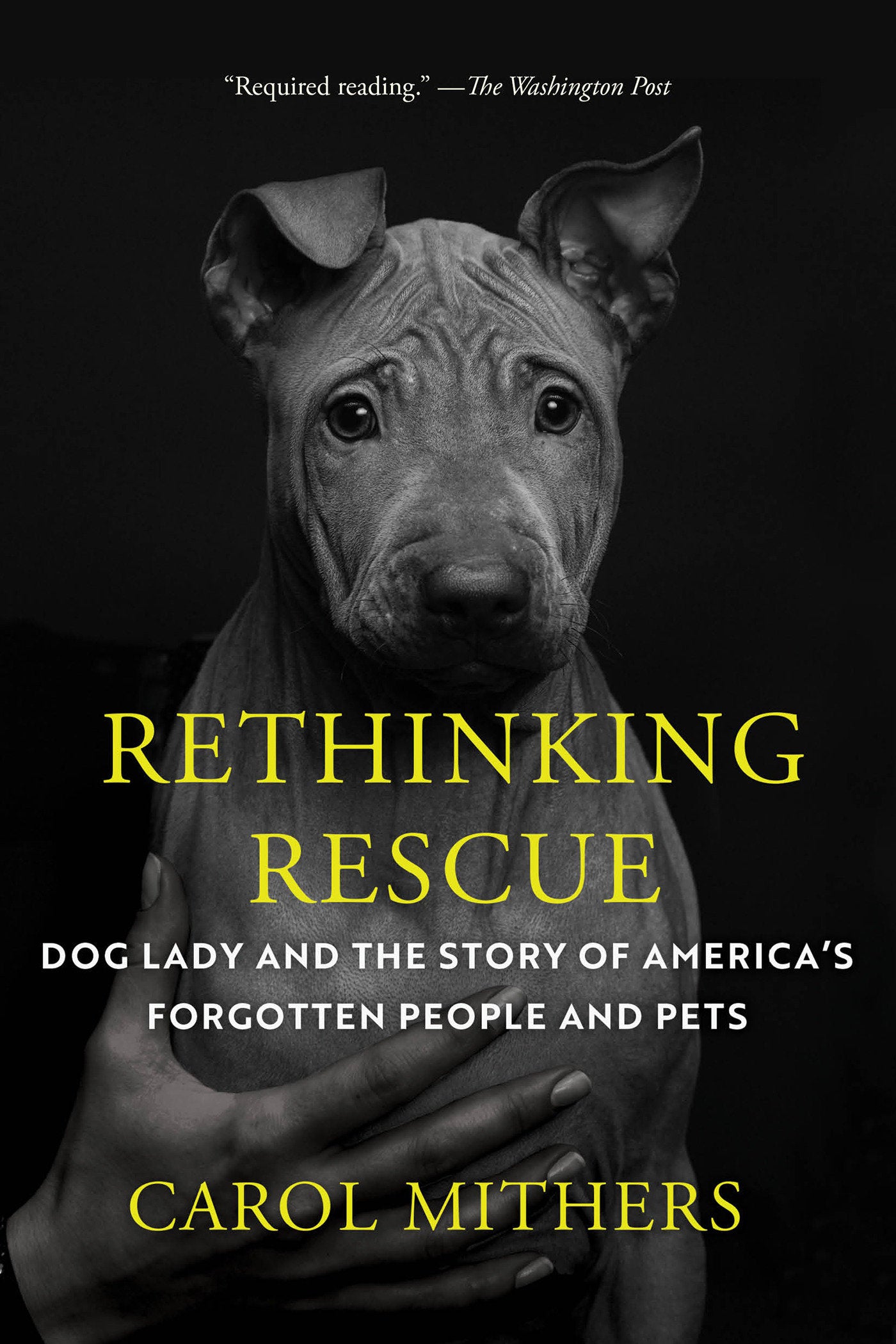 Rethinking Rescue - Dog Lady and the Story of America's Forgotten People and Pets
