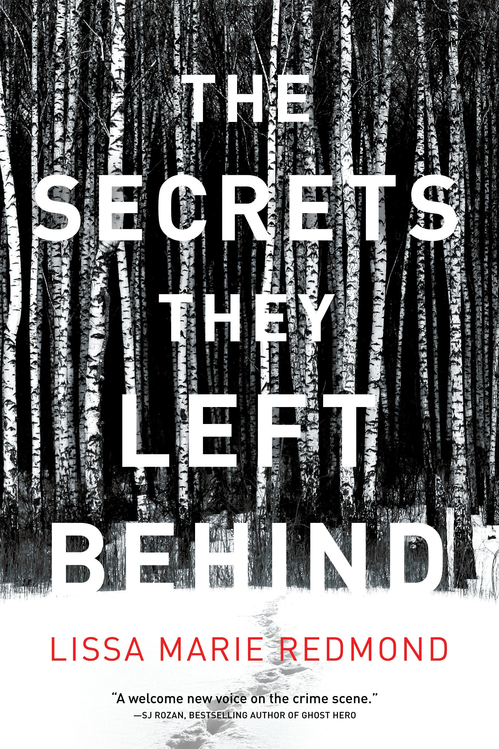 The Secrets They Left Behind - A Mystery