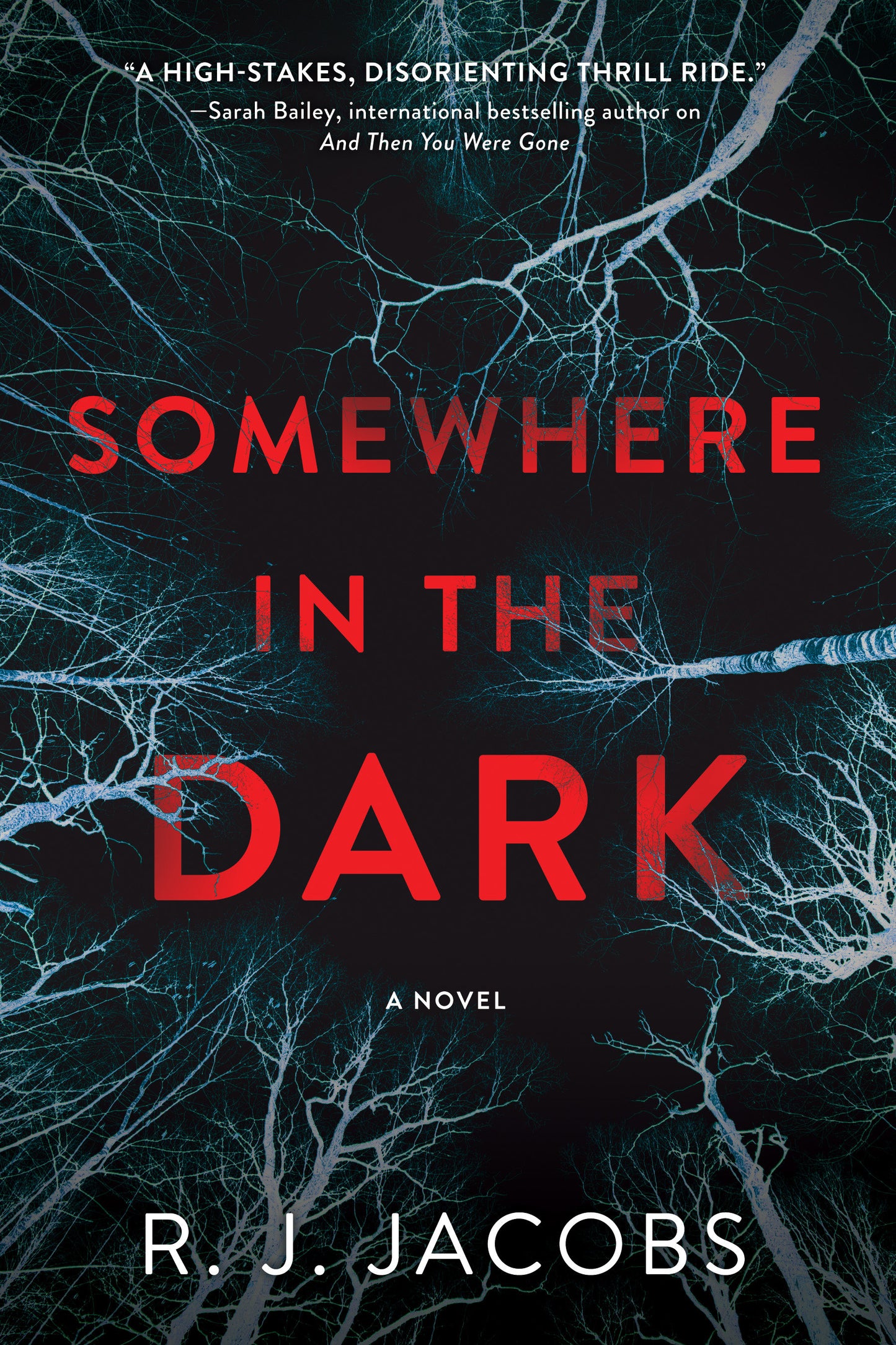 Somewhere in the Dark - A Novel