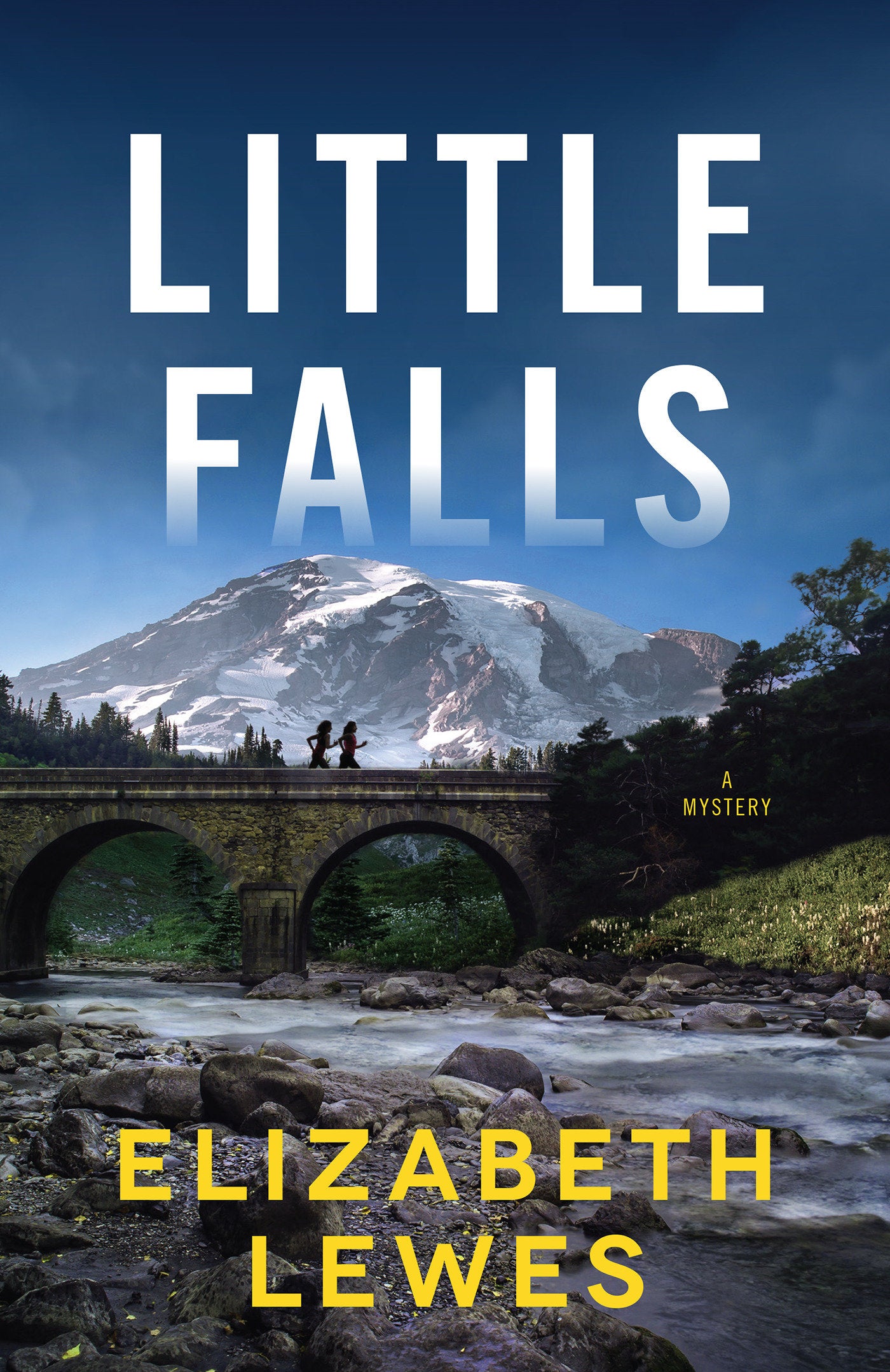 Little Falls - A Novel